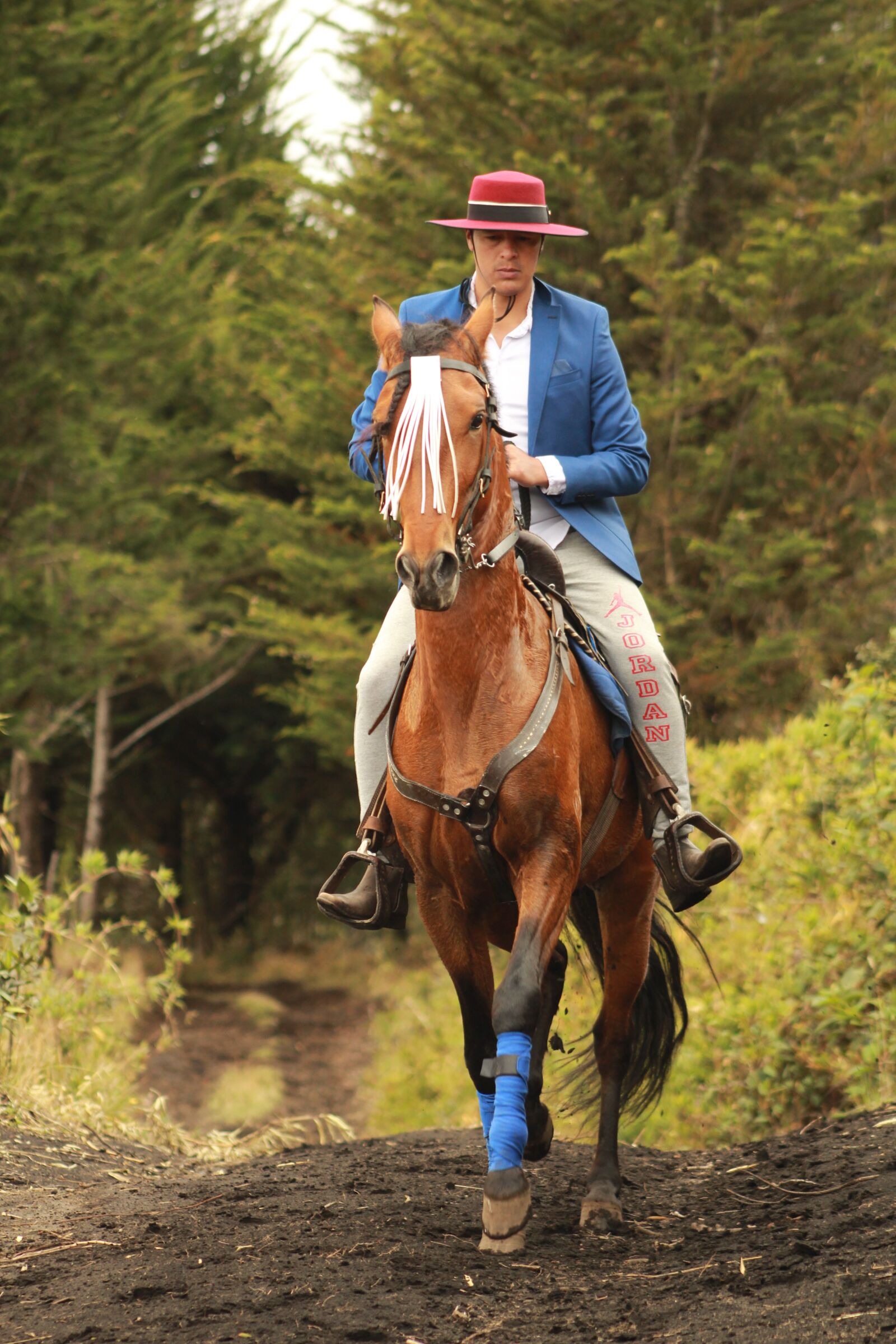 Canon EOS 1300D (EOS Rebel T6 / EOS Kiss X80) sample photo. Rider, horse, person photography