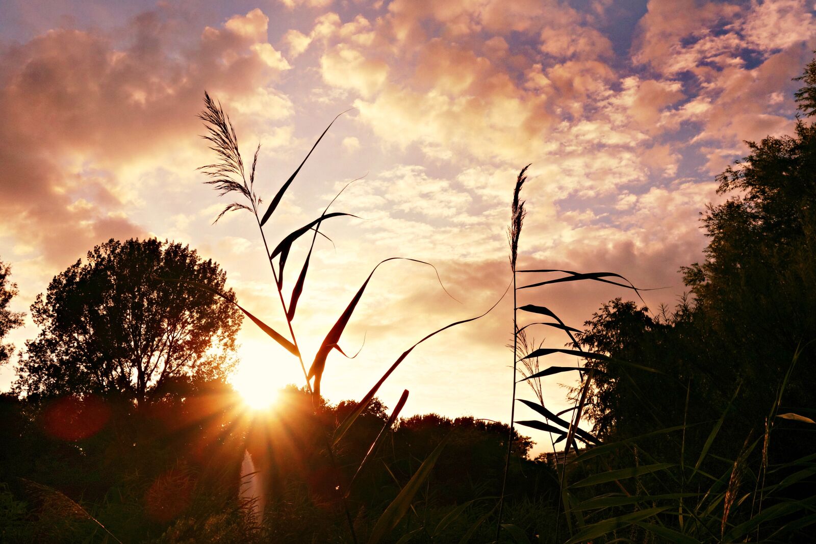 Sony Cyber-shot DSC-RX100 sample photo. Sunset, dusk, evening photography