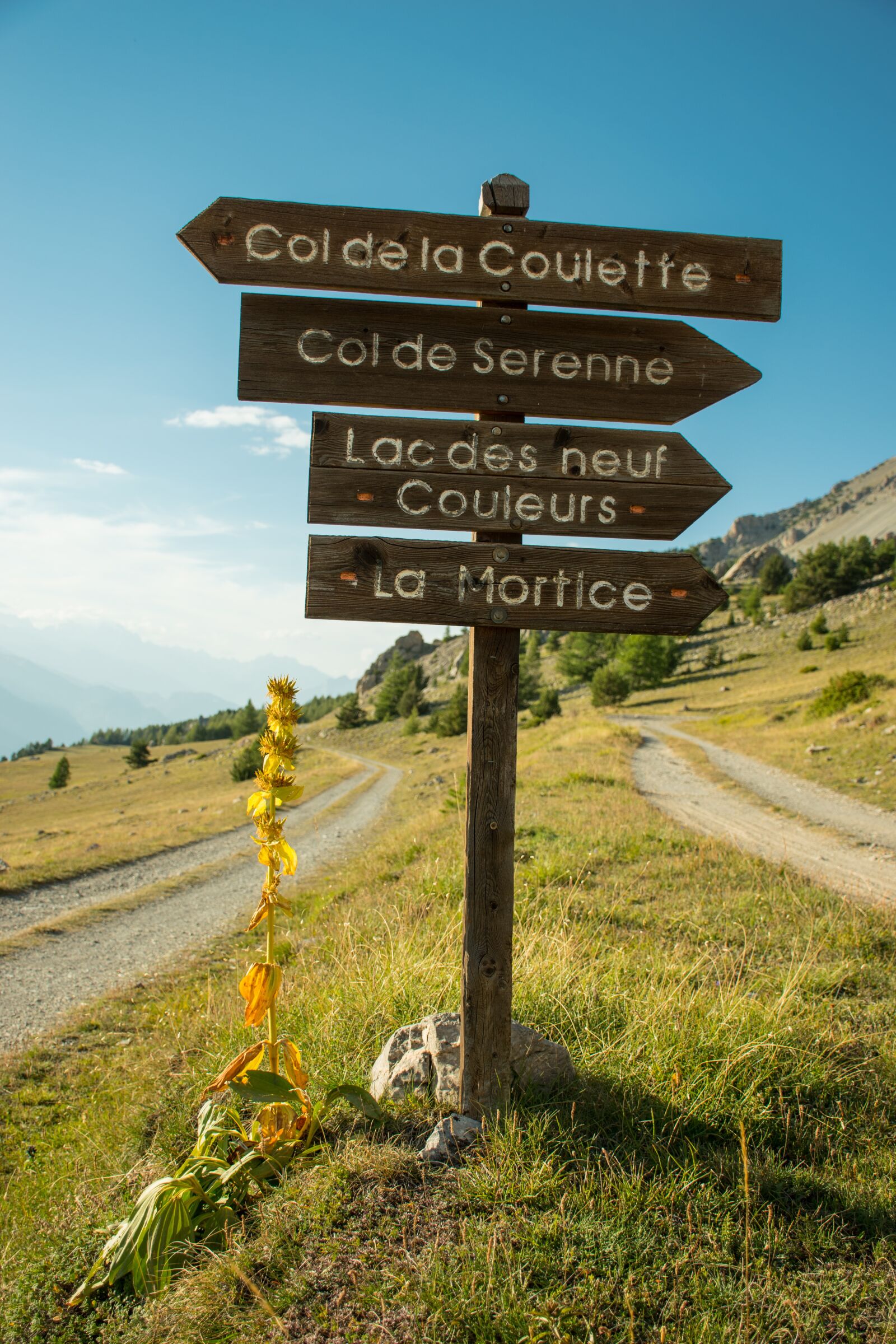 Nikon D5500 sample photo. Hiking, road, mountain photography