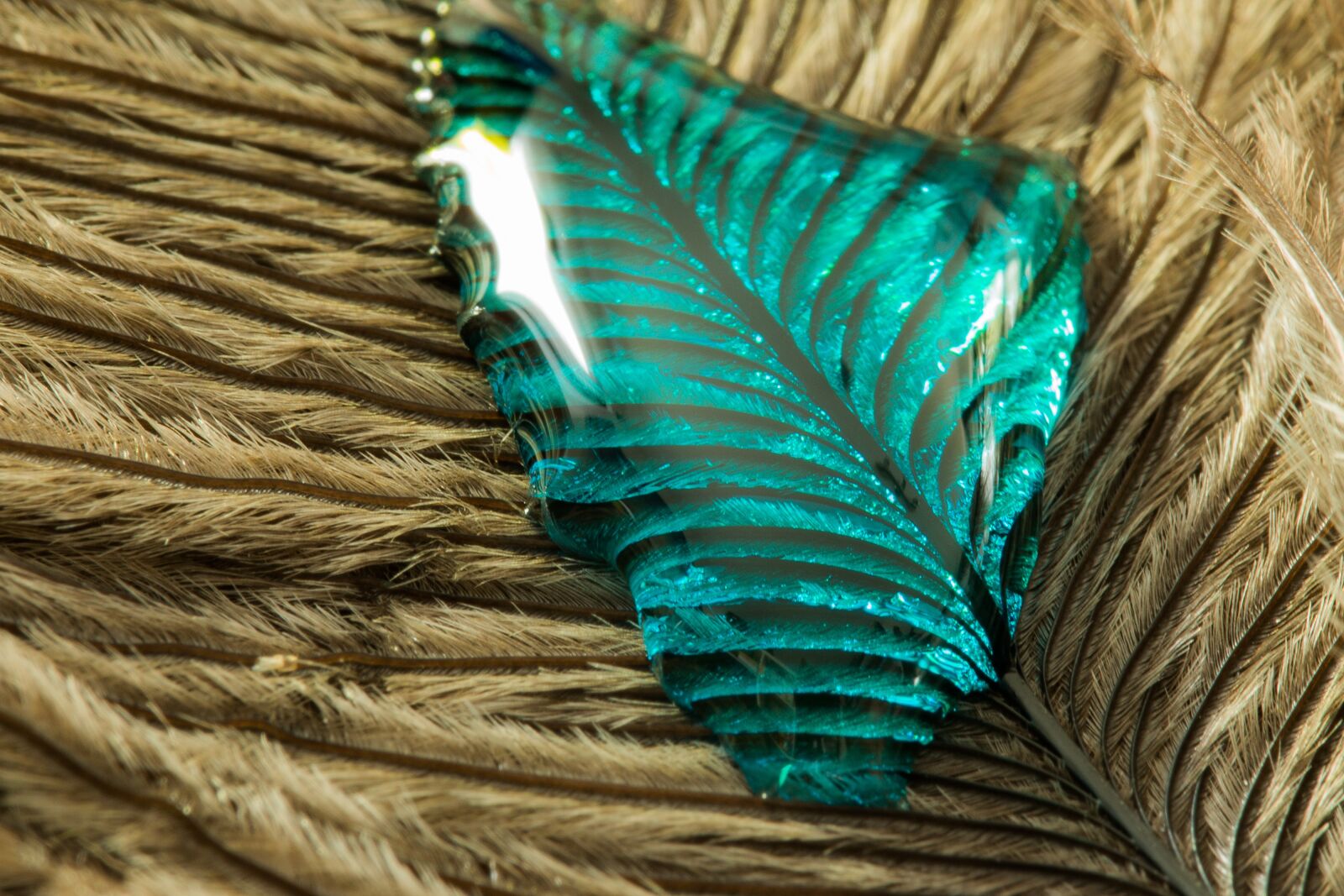 Canon EOS 70D sample photo. Ostrich feather, drip, feather photography