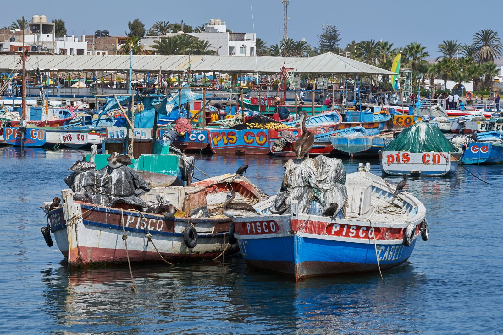Sony a7 sample photo. Fishing boats, pisco, spring photography