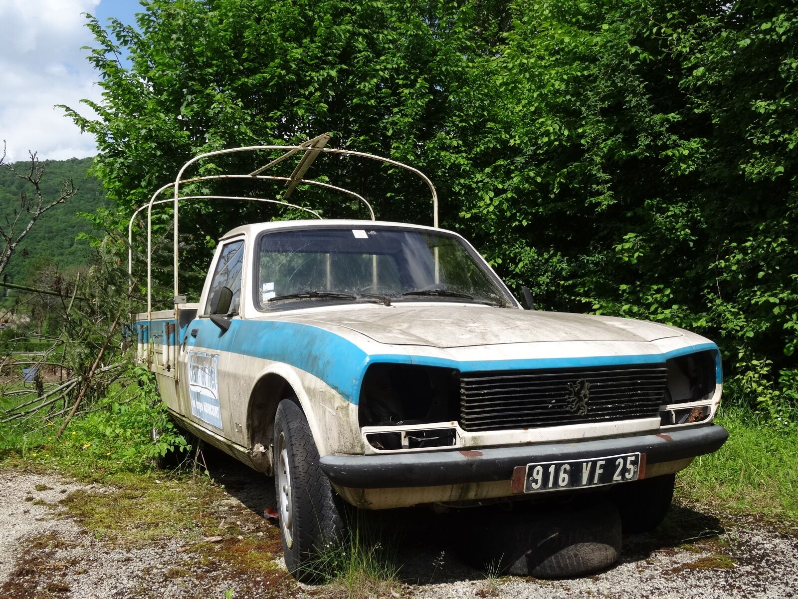 Sony DSC-HX50 sample photo. Decay, peugeot, french photography
