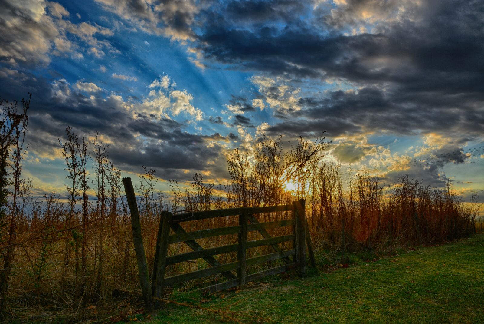 Nikon D5200 sample photo. Nature, landscape, wood photography