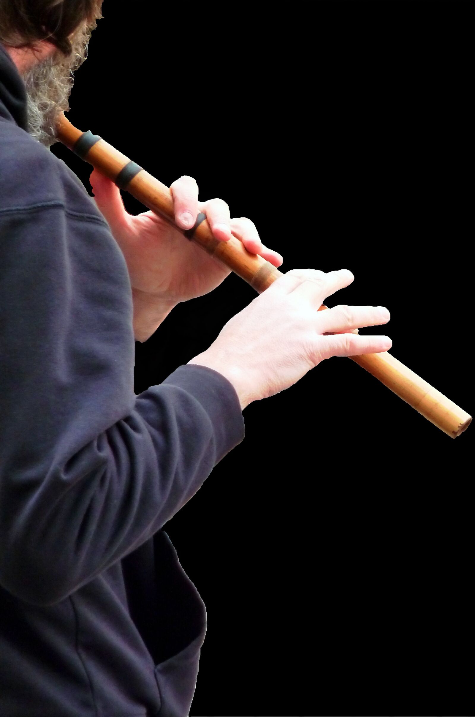Panasonic DMC-TZ7 sample photo. Flute, flute game, flautist photography