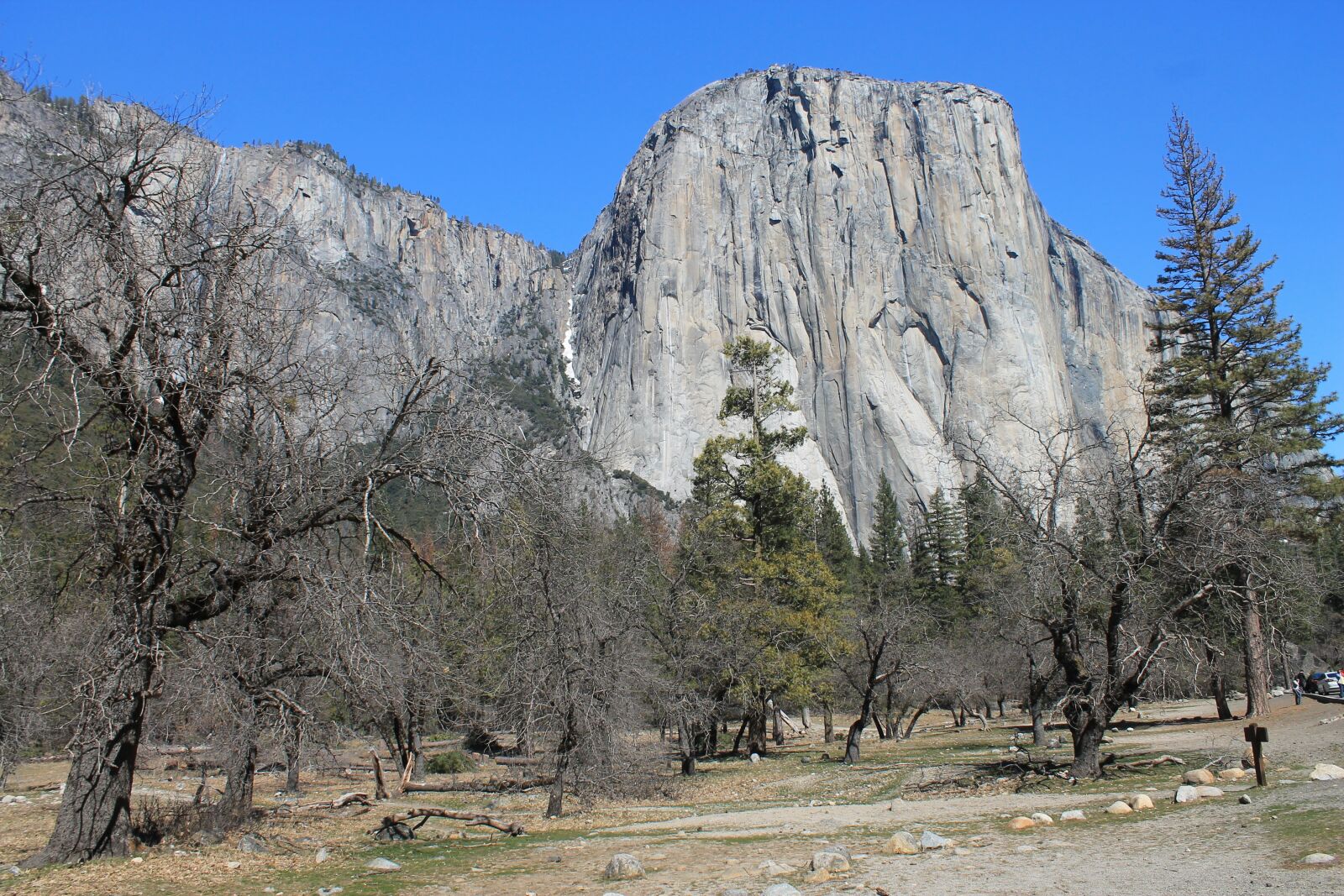 Canon EOS 1100D (EOS Rebel T3 / EOS Kiss X50) sample photo. El capitan, yosemite, tree photography