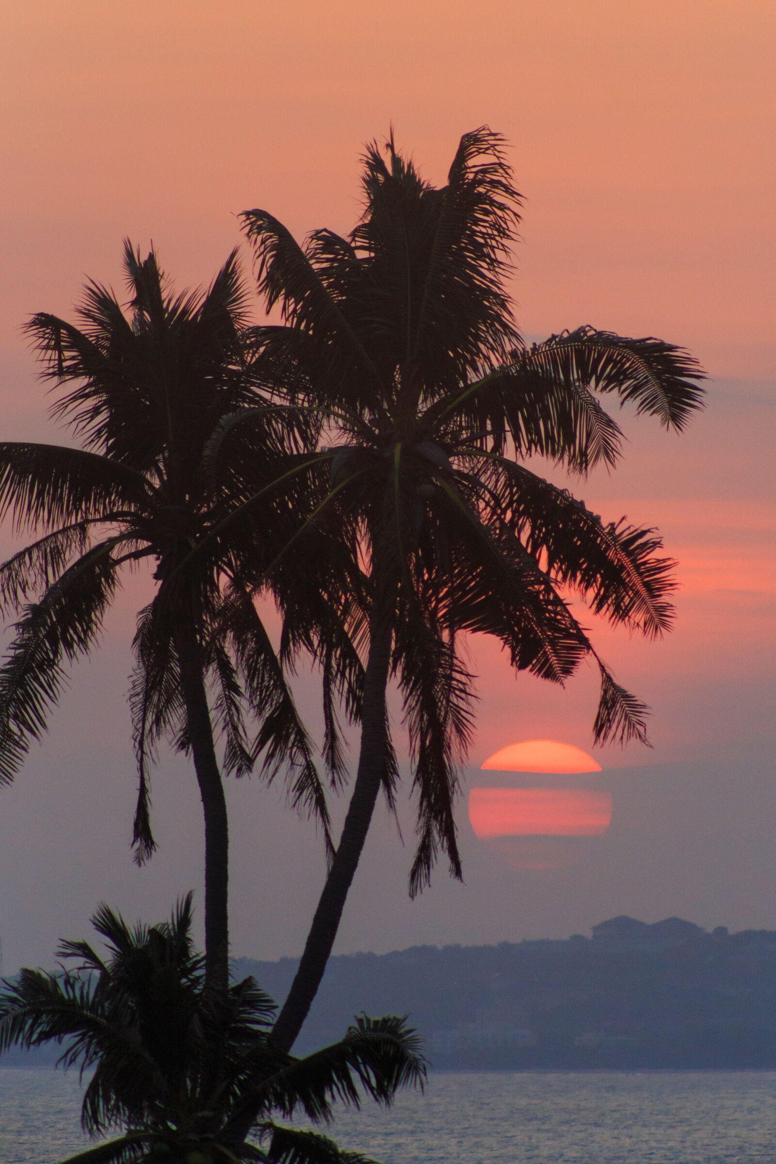Canon EF75-300mm f/4-5.6 sample photo. Palma, beach, tropical photography
