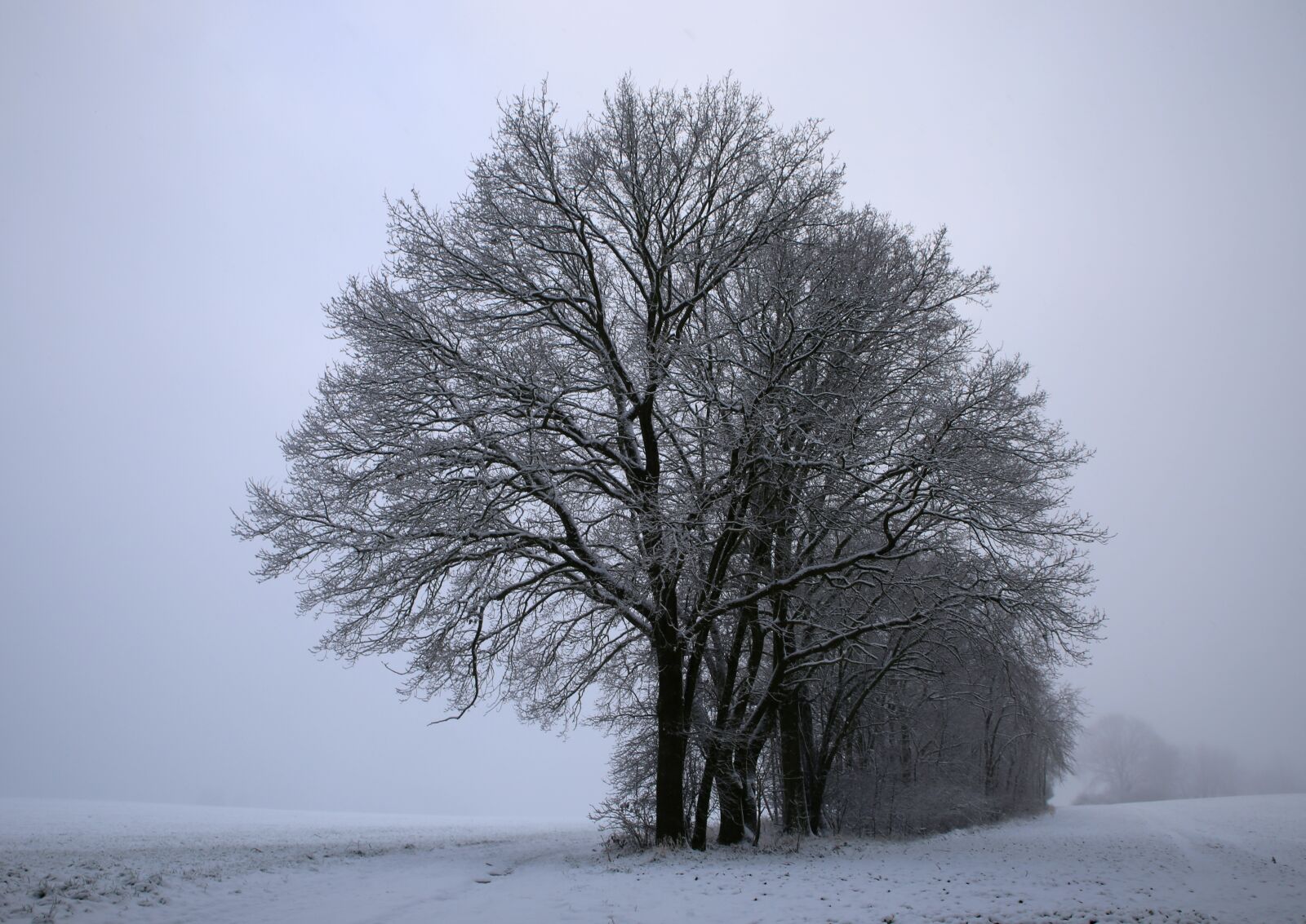 Canon EOS 6D sample photo. Mati, winter, snow photography