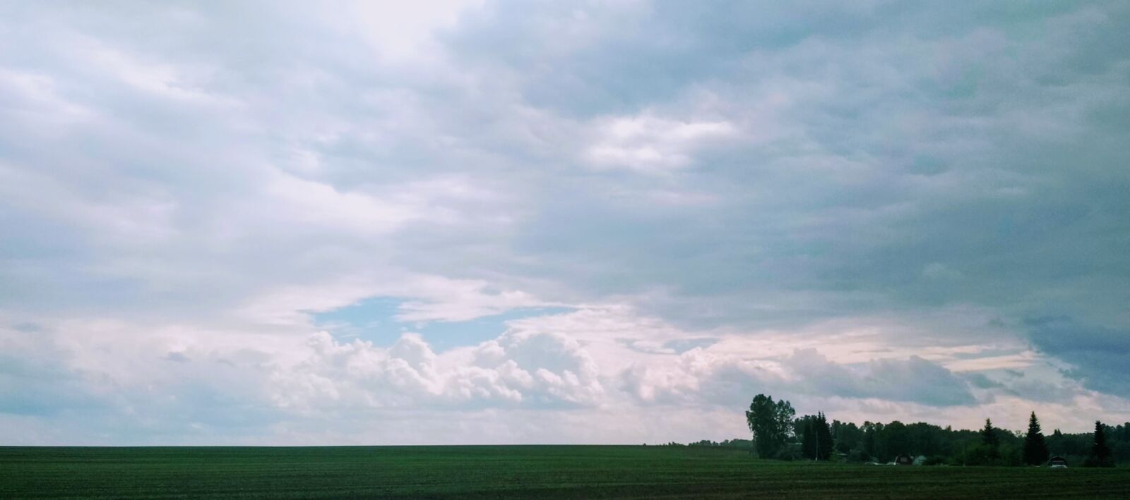 Xiaomi Redmi 4X sample photo. Sky, spring, nature photography