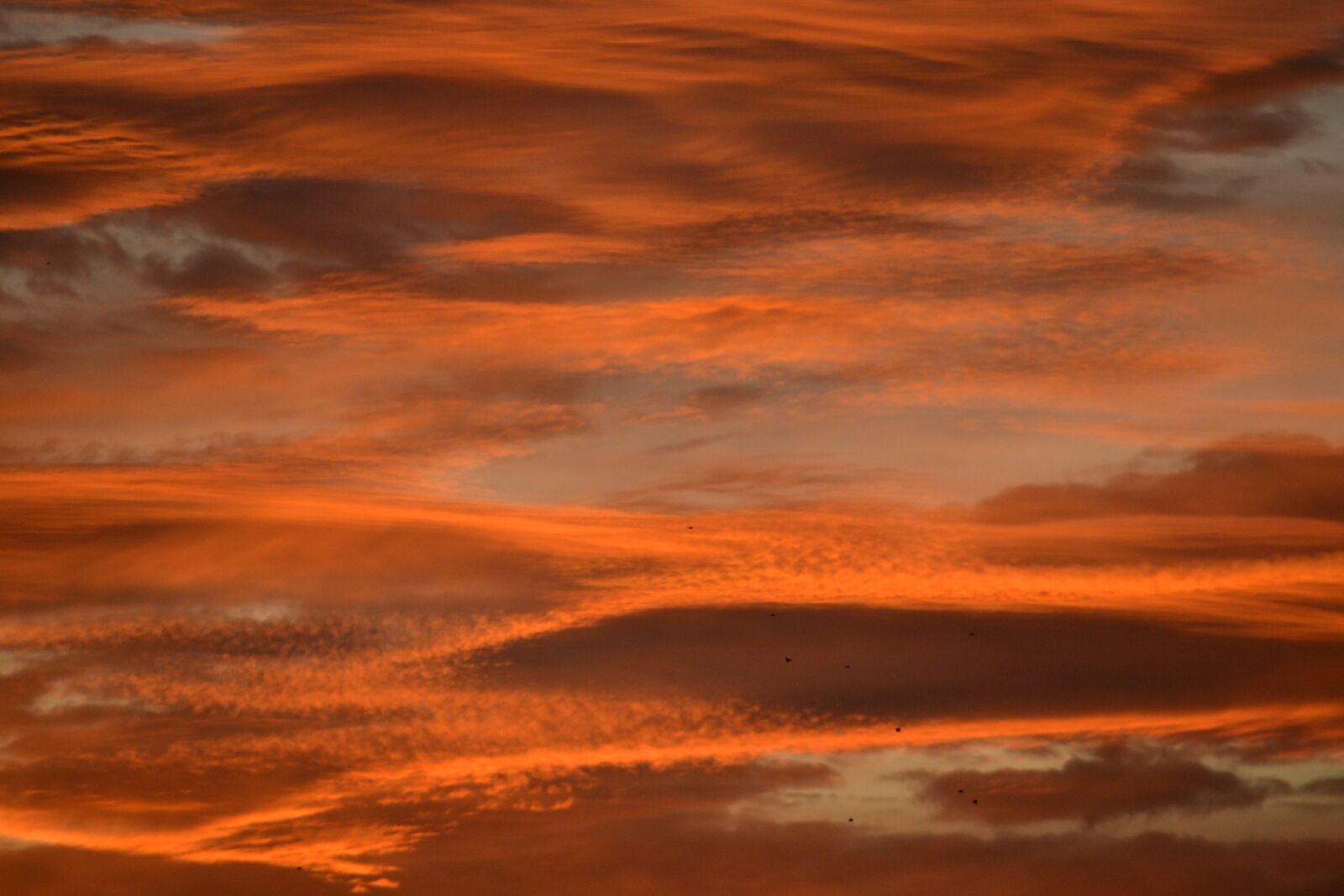 Nikon D3100 sample photo. Sunrise, the clouds, dawn photography
