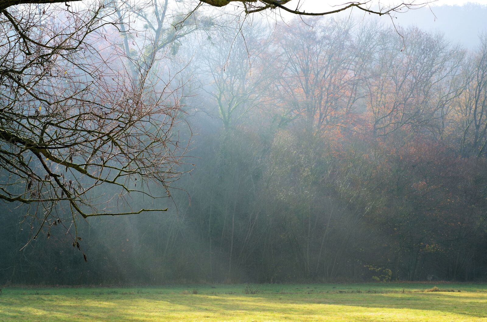 Pentax K-50 sample photo. Light beam, sunbeam, nature photography