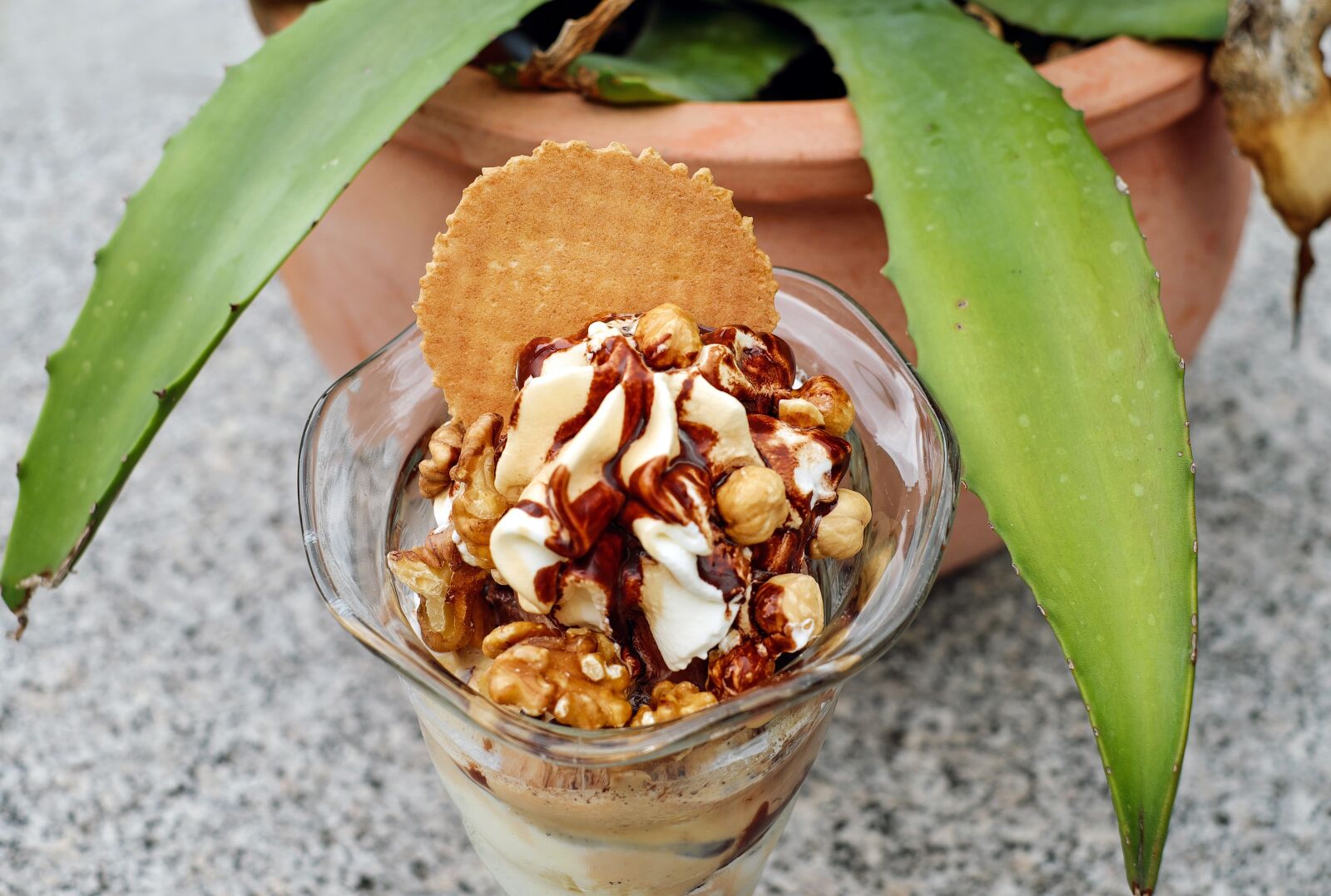 Fujifilm X-T10 + Fujifilm XF 35mm F1.4 R sample photo. Ice cream sundae, nut photography