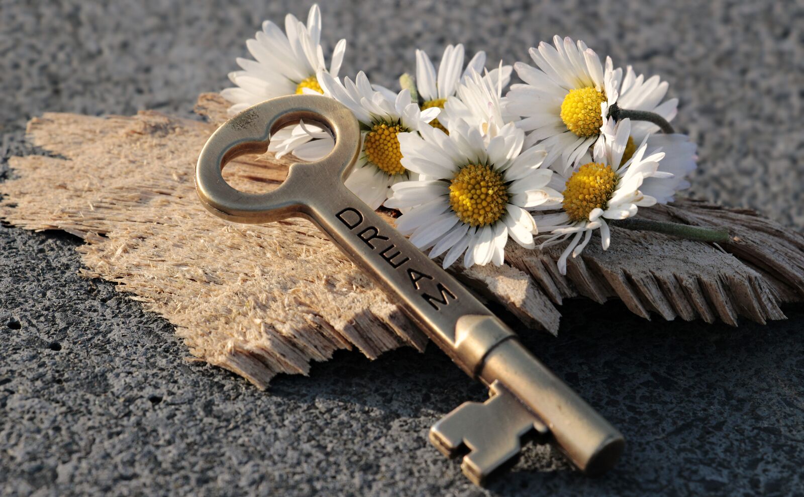 Canon EOS 100D (EOS Rebel SL1 / EOS Kiss X7) sample photo. Key, heart, daisy photography