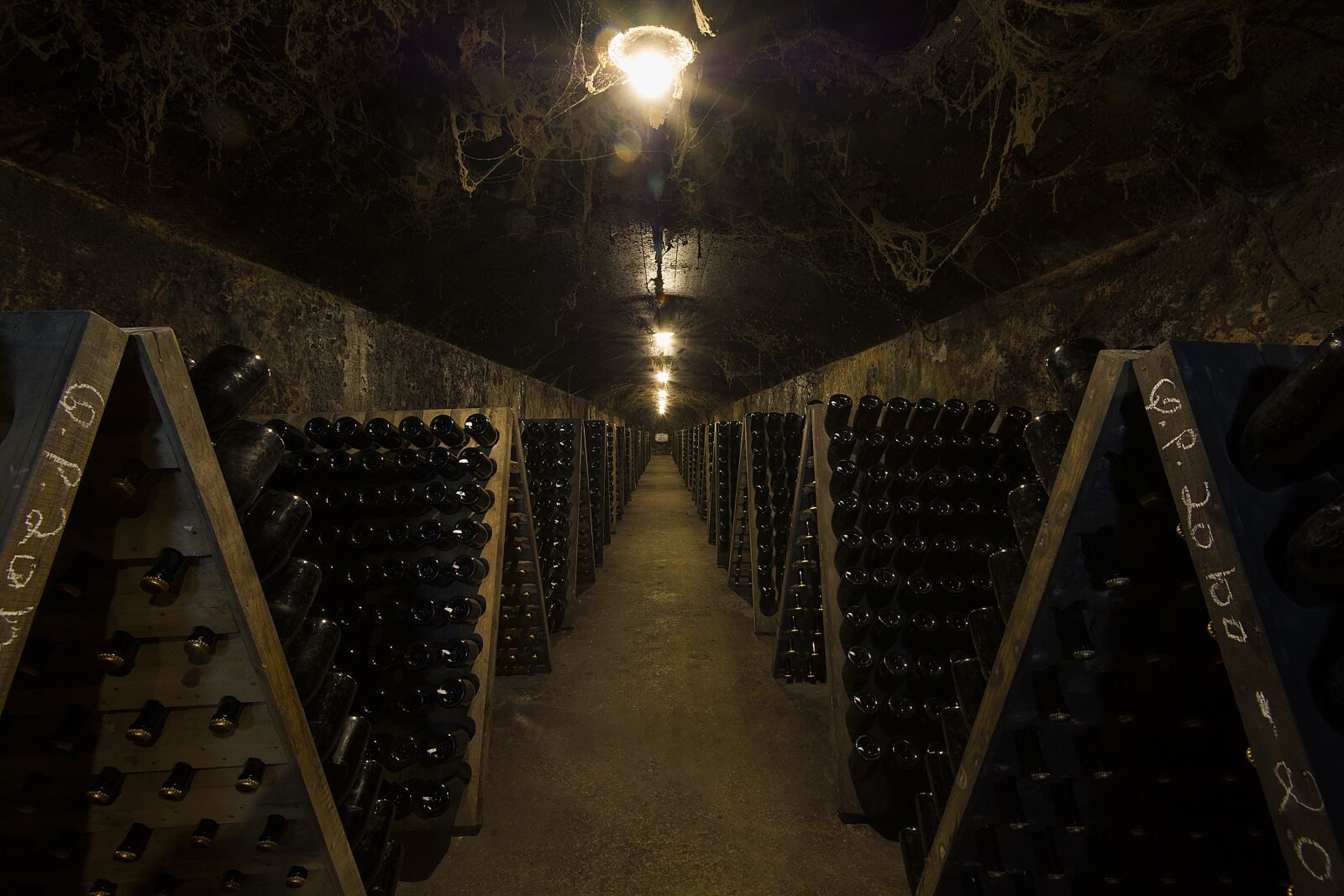 Nikon D3S sample photo. Caves, anadia, bairrada photography