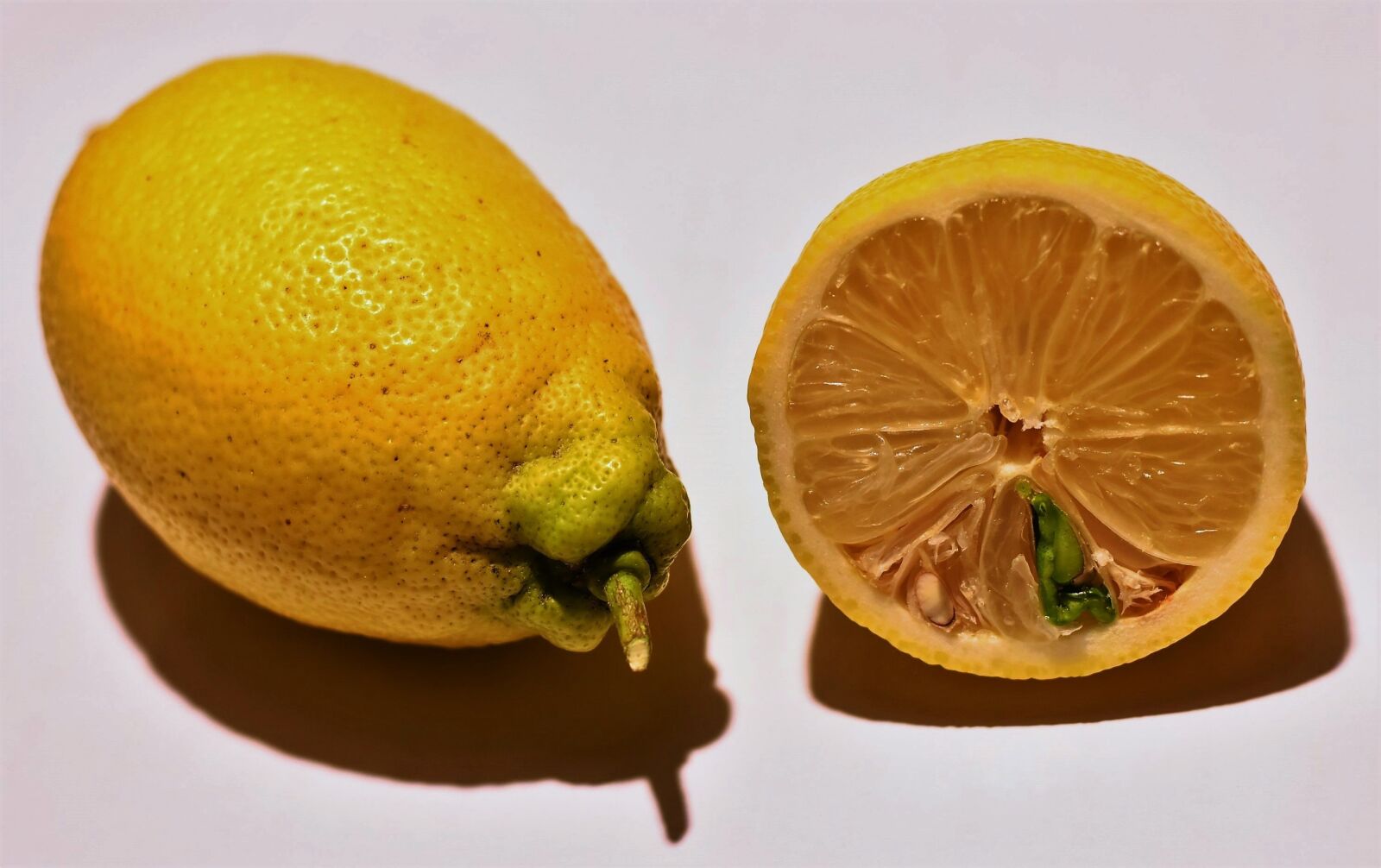 Nikon D7200 sample photo. Lemons, lemon keimling, citrus photography