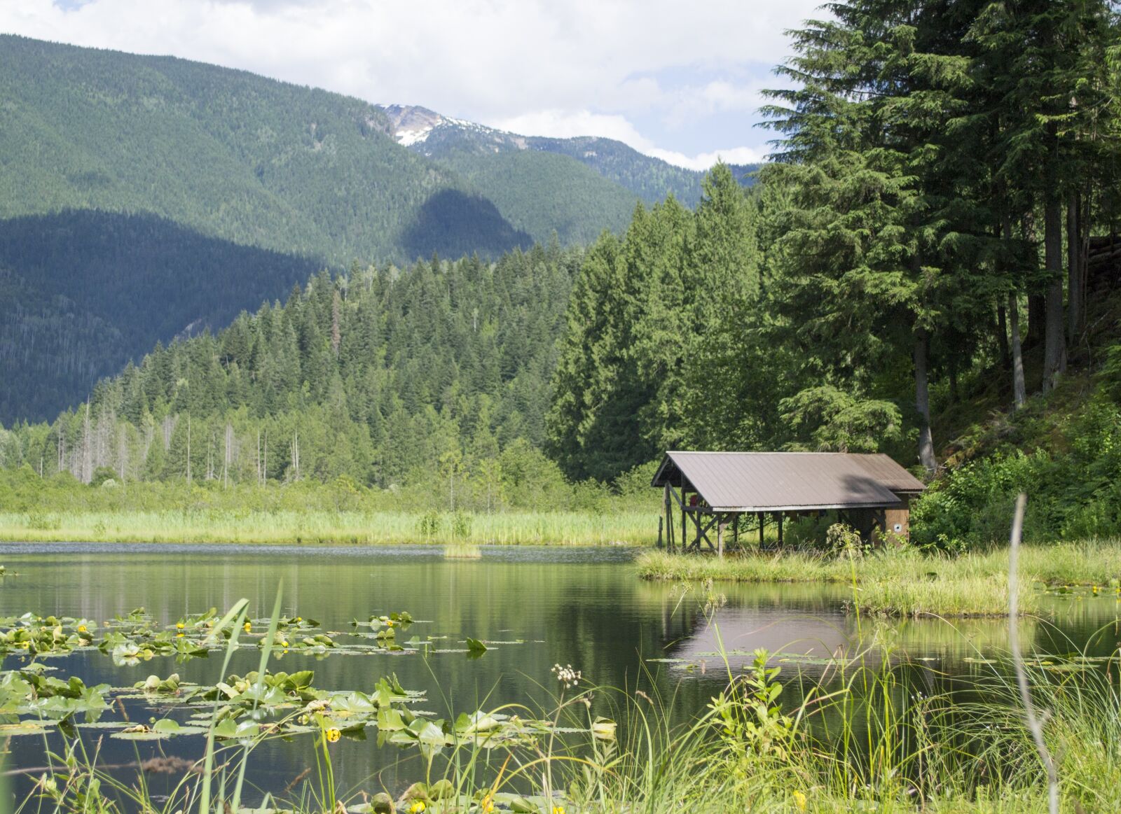 Nikon D3100 sample photo. Landscape, pond, marsh photography