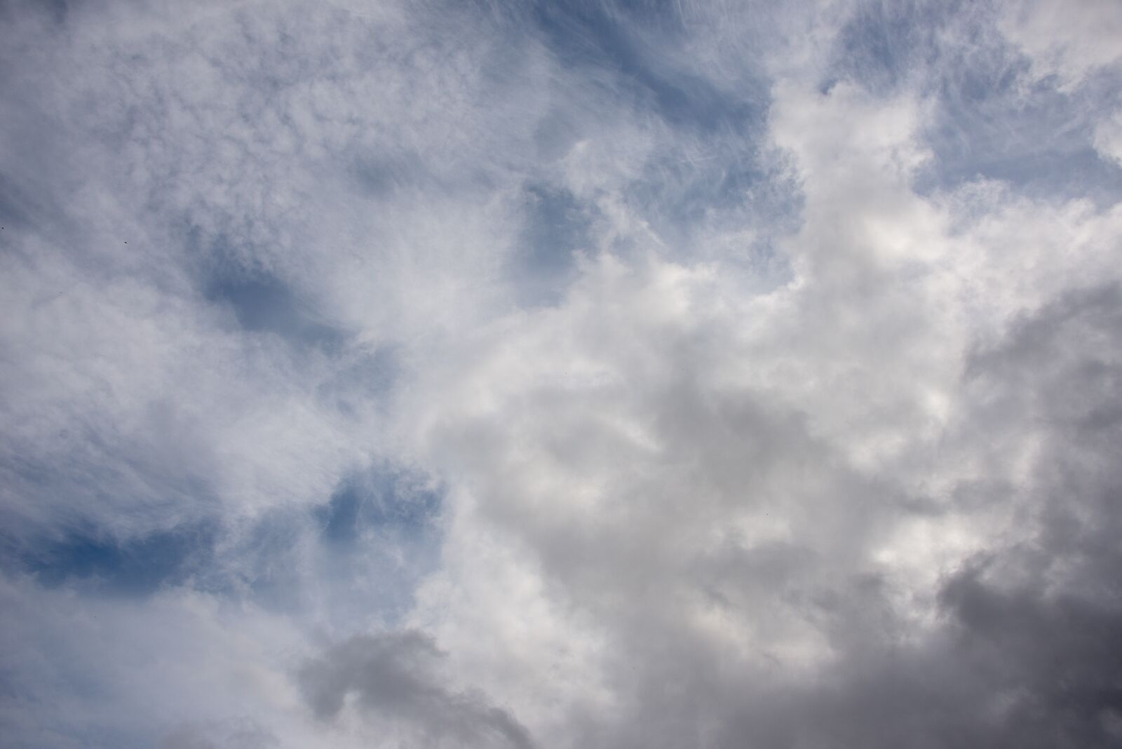Nikon D610 sample photo. Texture, sky, clouds photography