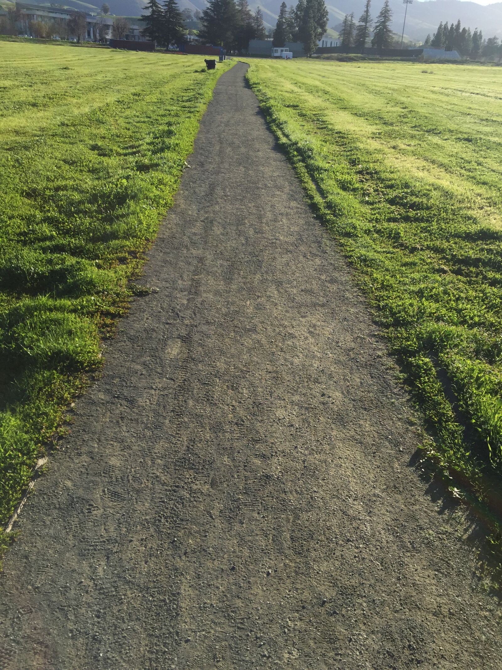 Apple iPhone 6 sample photo. Pathway, path, footpath photography