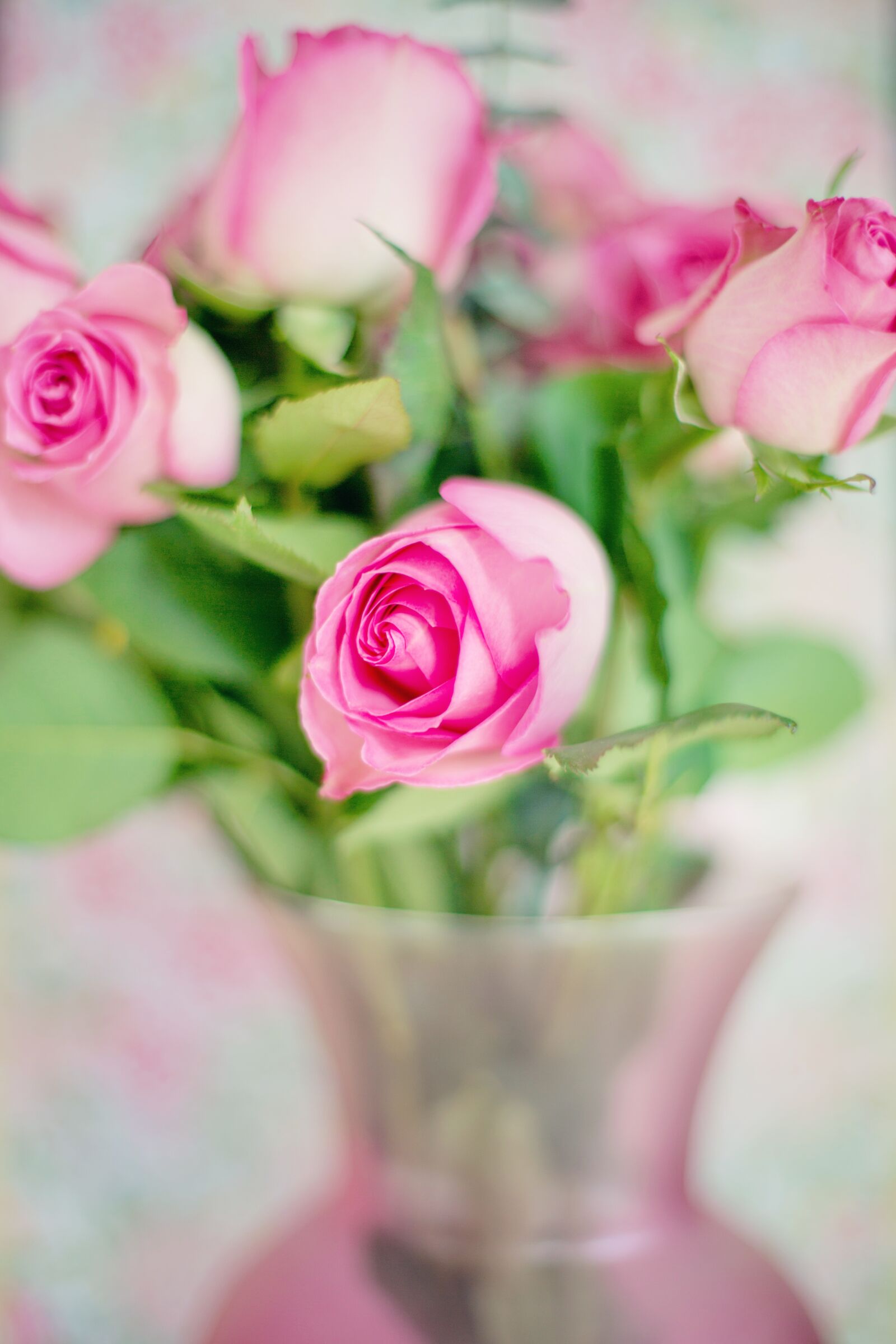 Canon EF 50mm F1.4 USM sample photo. Beautiful, bloom, blooming, blossom photography