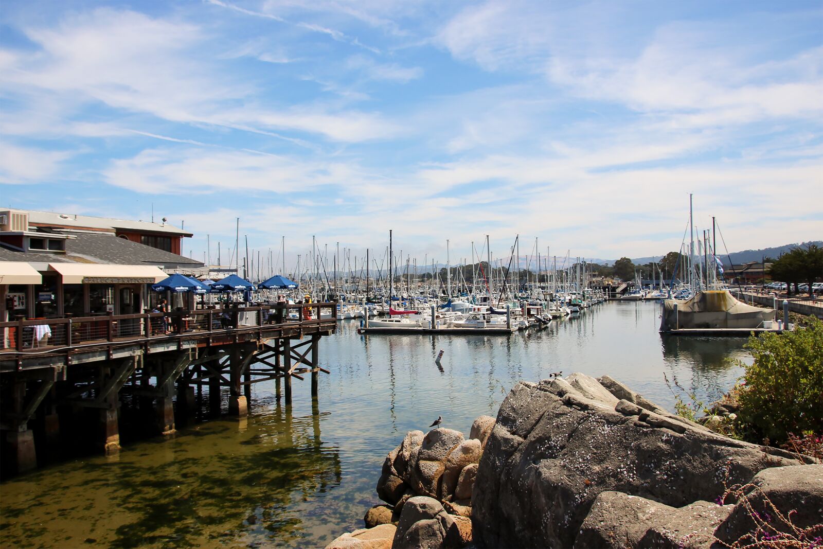 Canon EOS 600D (Rebel EOS T3i / EOS Kiss X5) sample photo. Monterey, california, coast photography