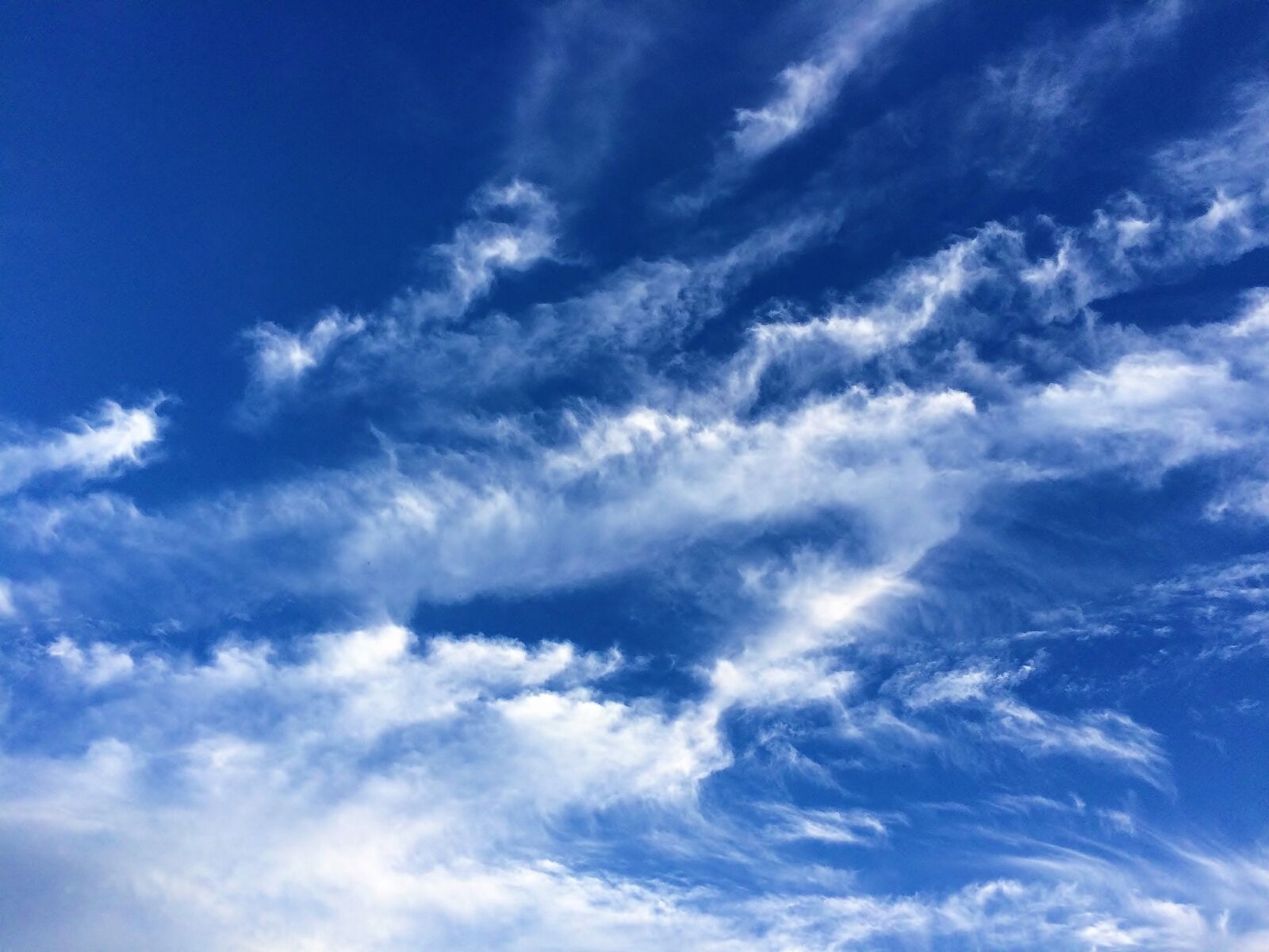 iPhone 5s back camera 4.15mm f/2.2 sample photo. Blue sky, white clouds photography