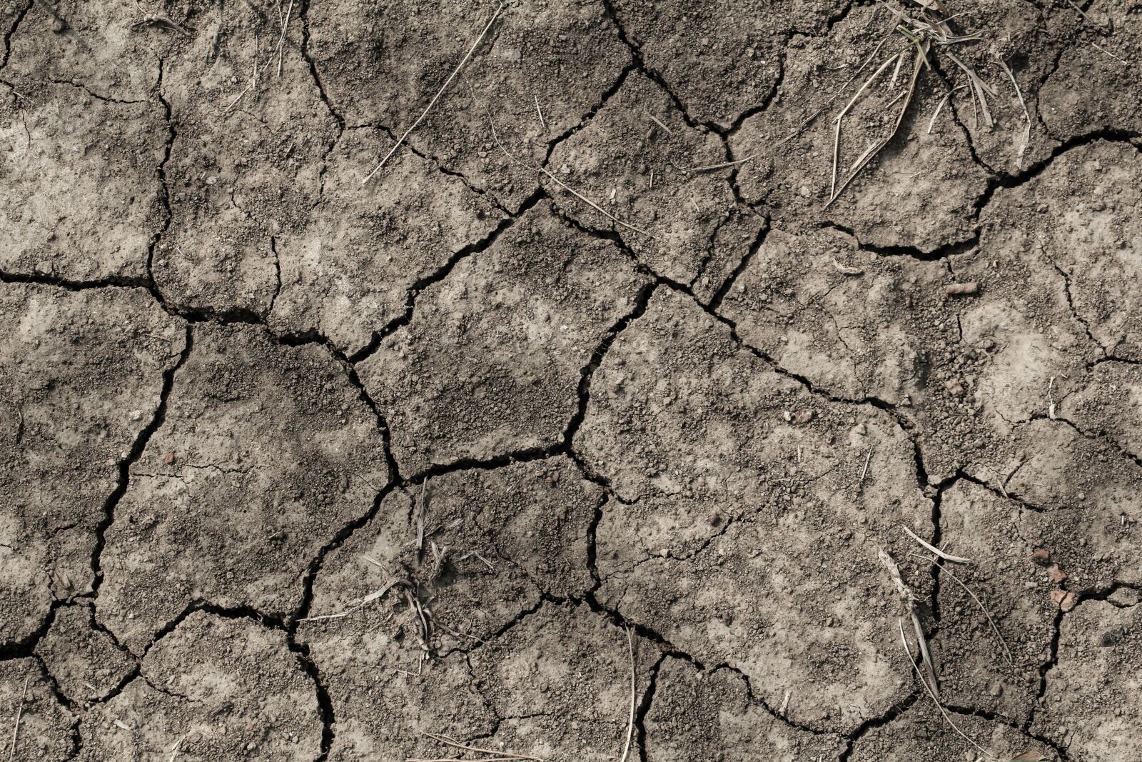 Canon EF 100mm F2.8L Macro IS USM sample photo. Soil, heatwave, heat photography
