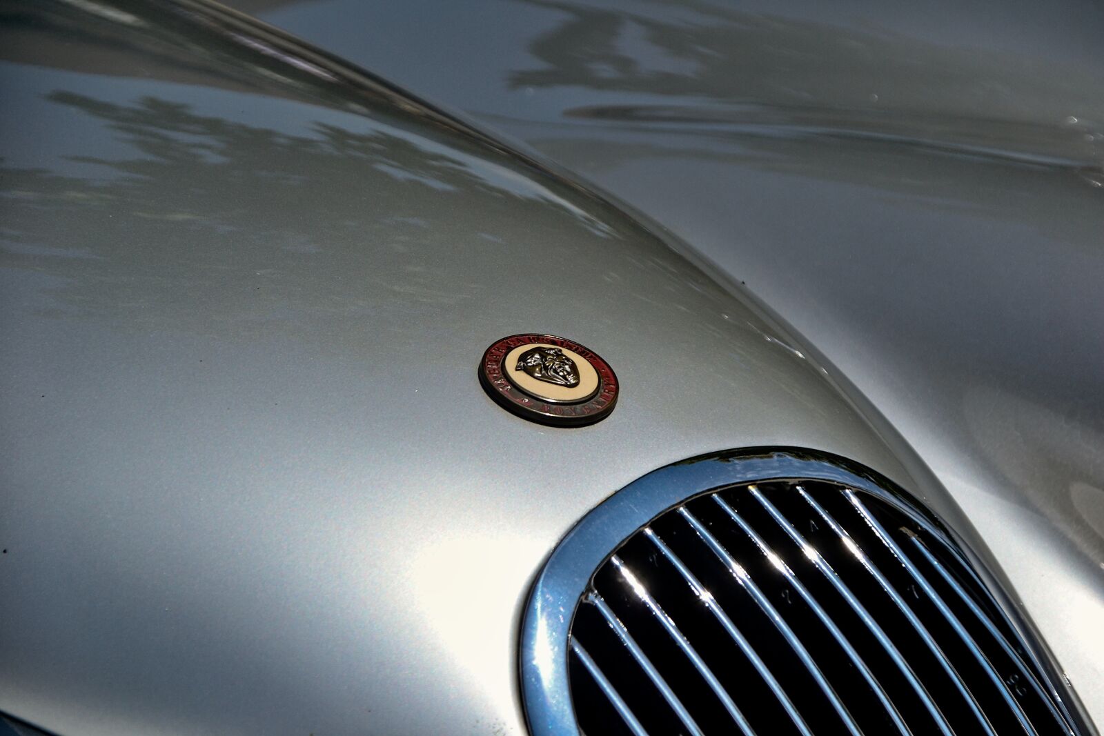 Nikon D3100 sample photo. Jaguar, hood, logo photography