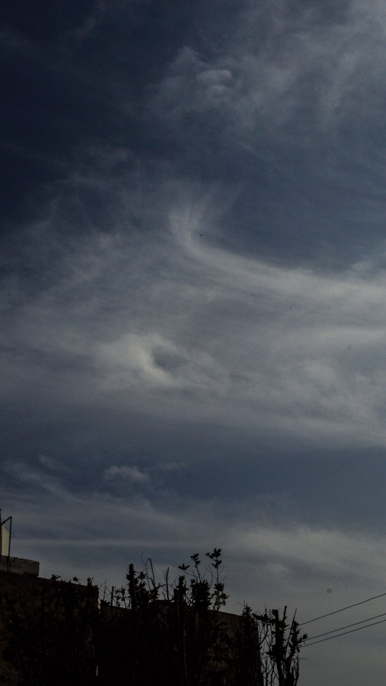 Nikon D3100 sample photo