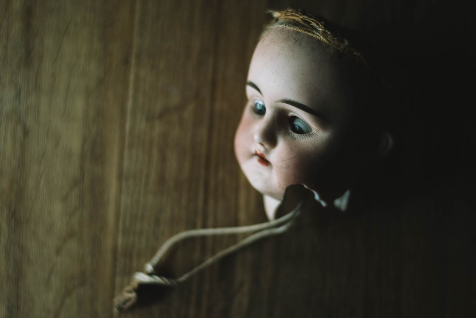 Nikon D3100 sample photo. Doll, doll head, halloween photography