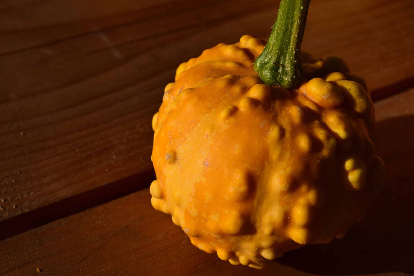 Nikon D3300 sample photo. Food, pumpkin, vegetable, organic photography