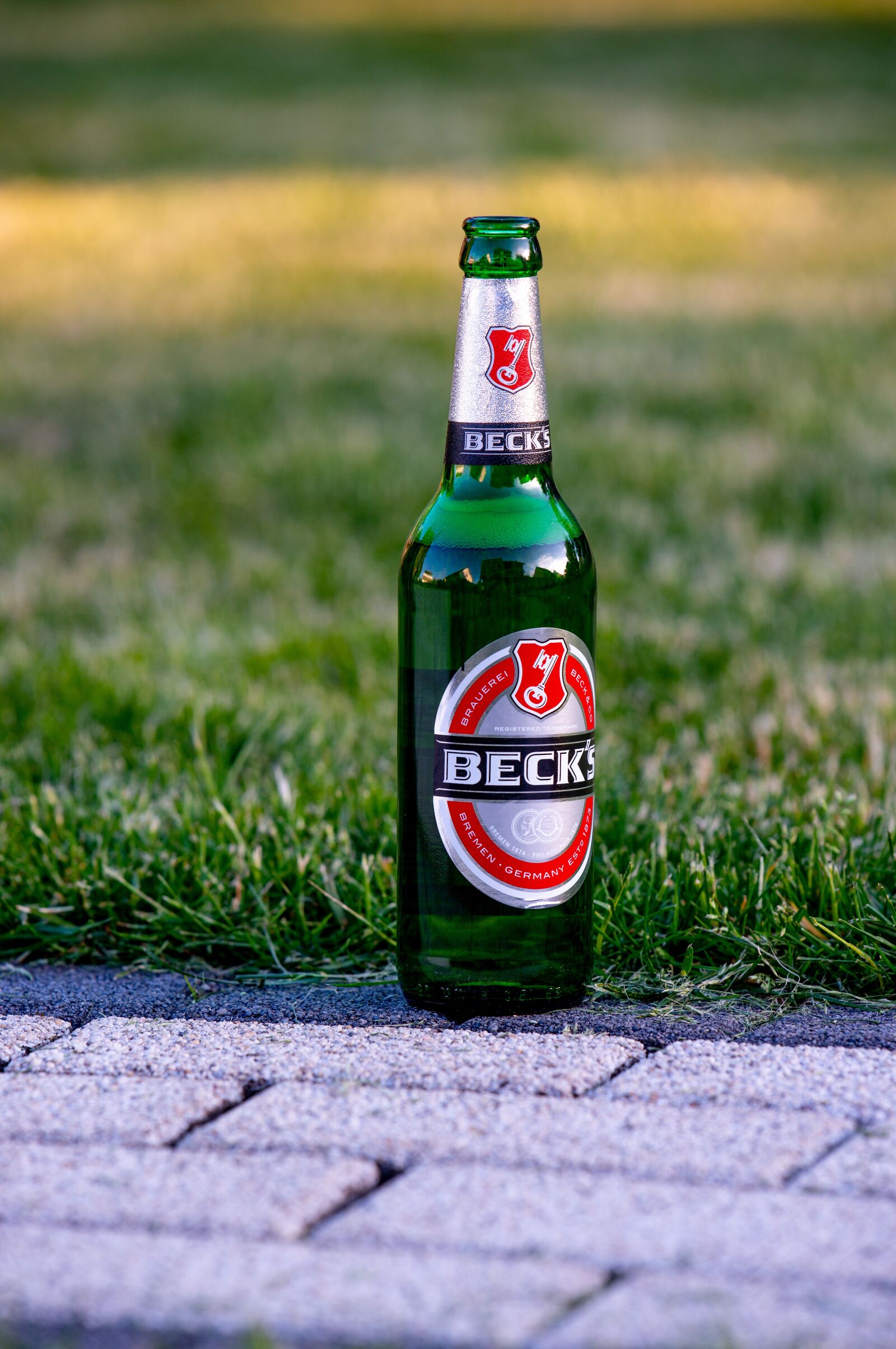 Nikon D800 sample photo. The beer, bottle of photography