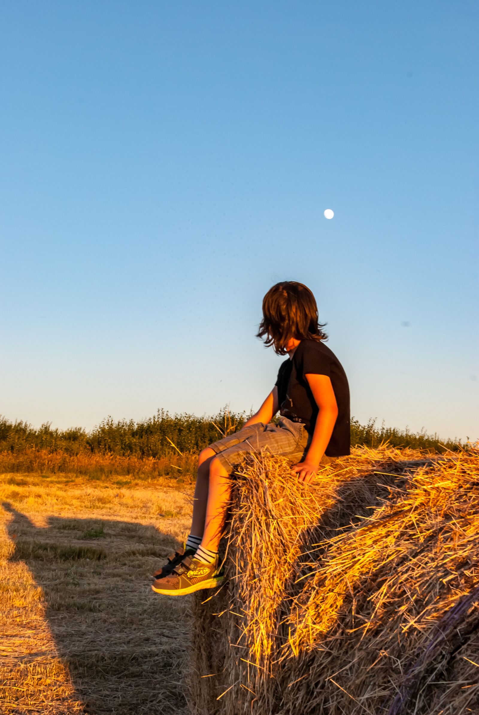 Nikon D80 sample photo. Boot, fields, sunset photography