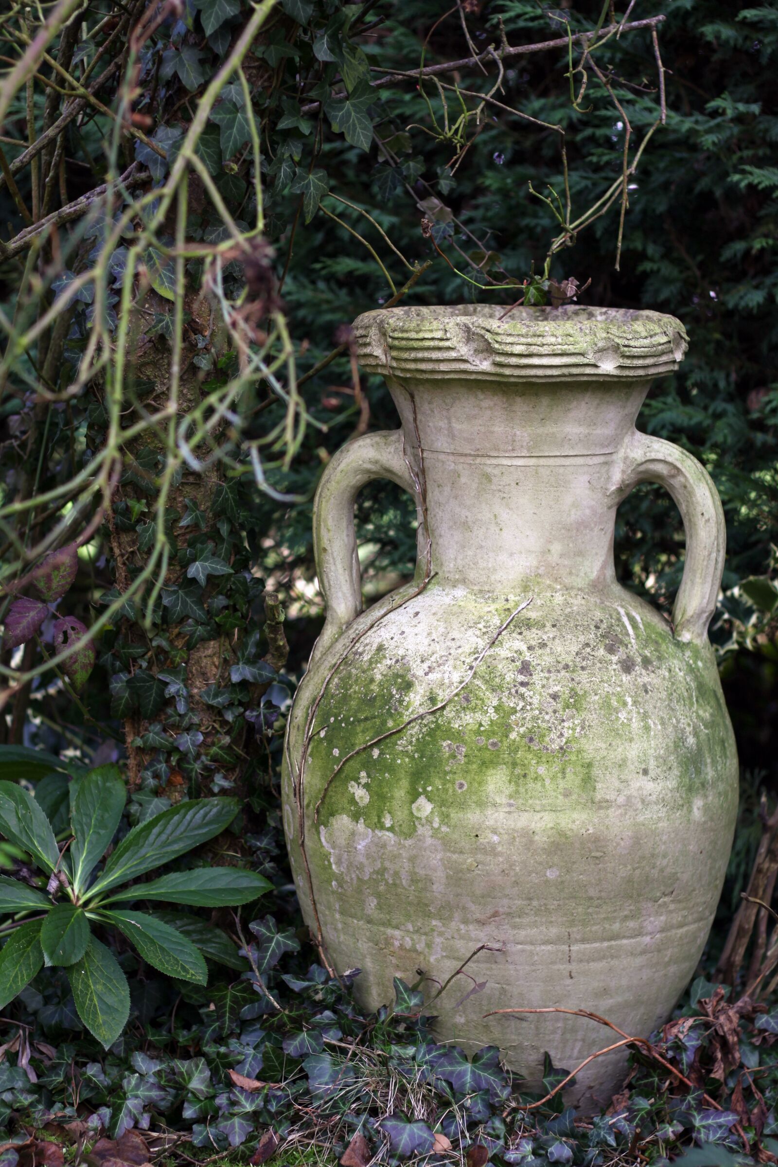 Canon EOS 50D sample photo. Pottery, garden, decoration photography
