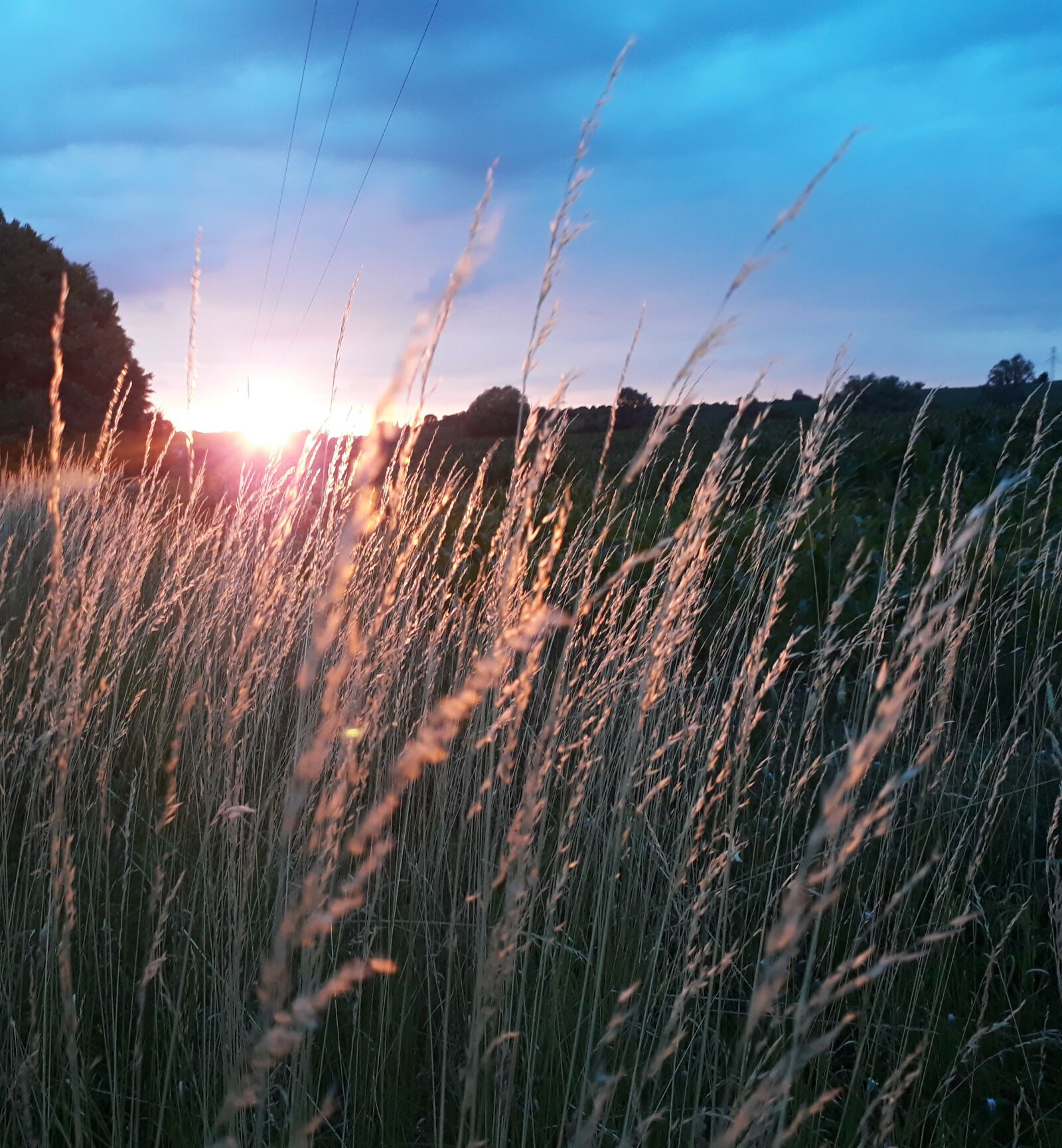 Samsung Galaxy A3(2017) sample photo. Sunset, meadow, autumn photography