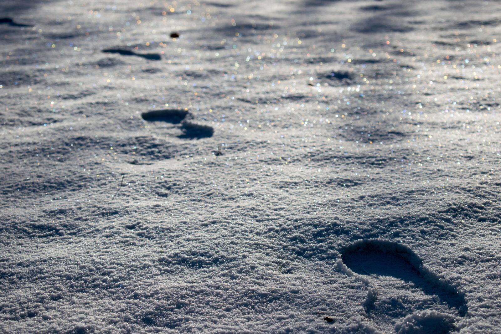 Nikon D3300 sample photo. Snow, footprints, winter photography