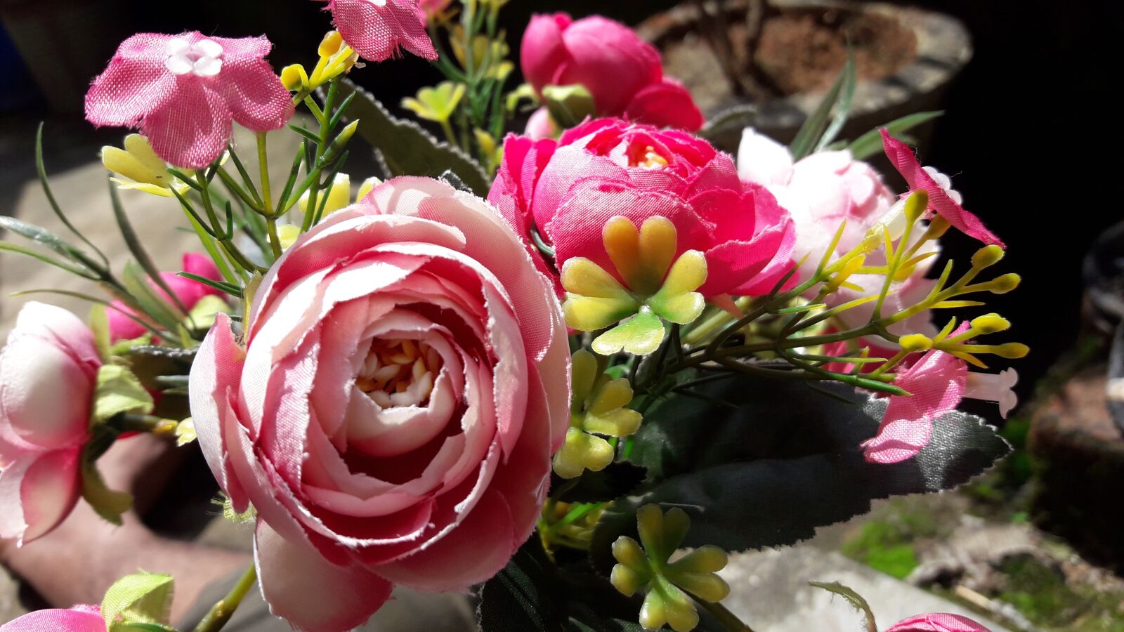 Samsung Galaxy J7 Neo sample photo. Flower images wallpaper, flower photography