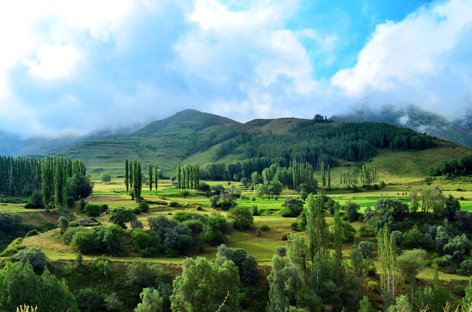 Nikon D5100 sample photo. Nature, landscape, kaçkars photography
