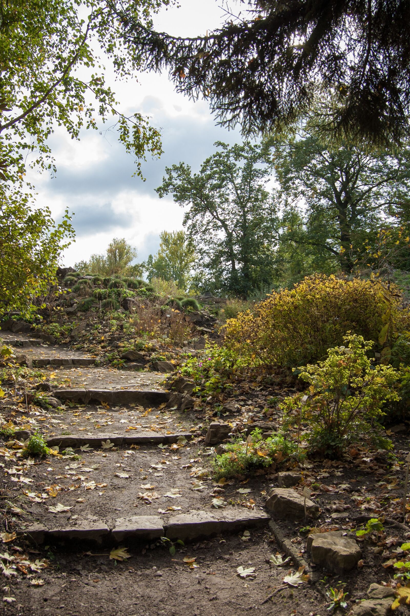 Nikon D40 sample photo. Nature, path, forest photography