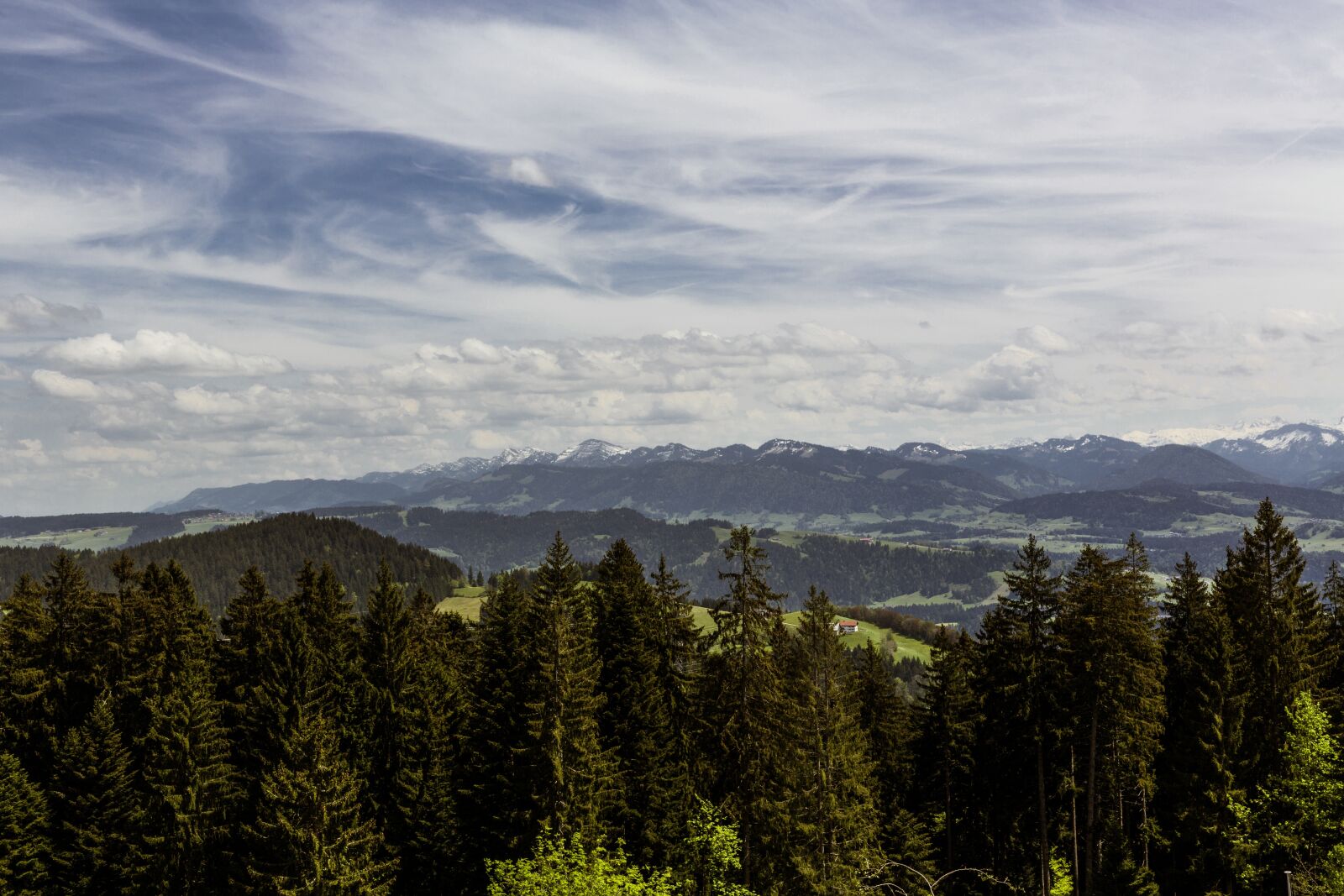Canon EF 24-70mm F2.8L II USM sample photo. Forest, hill, mountains photography