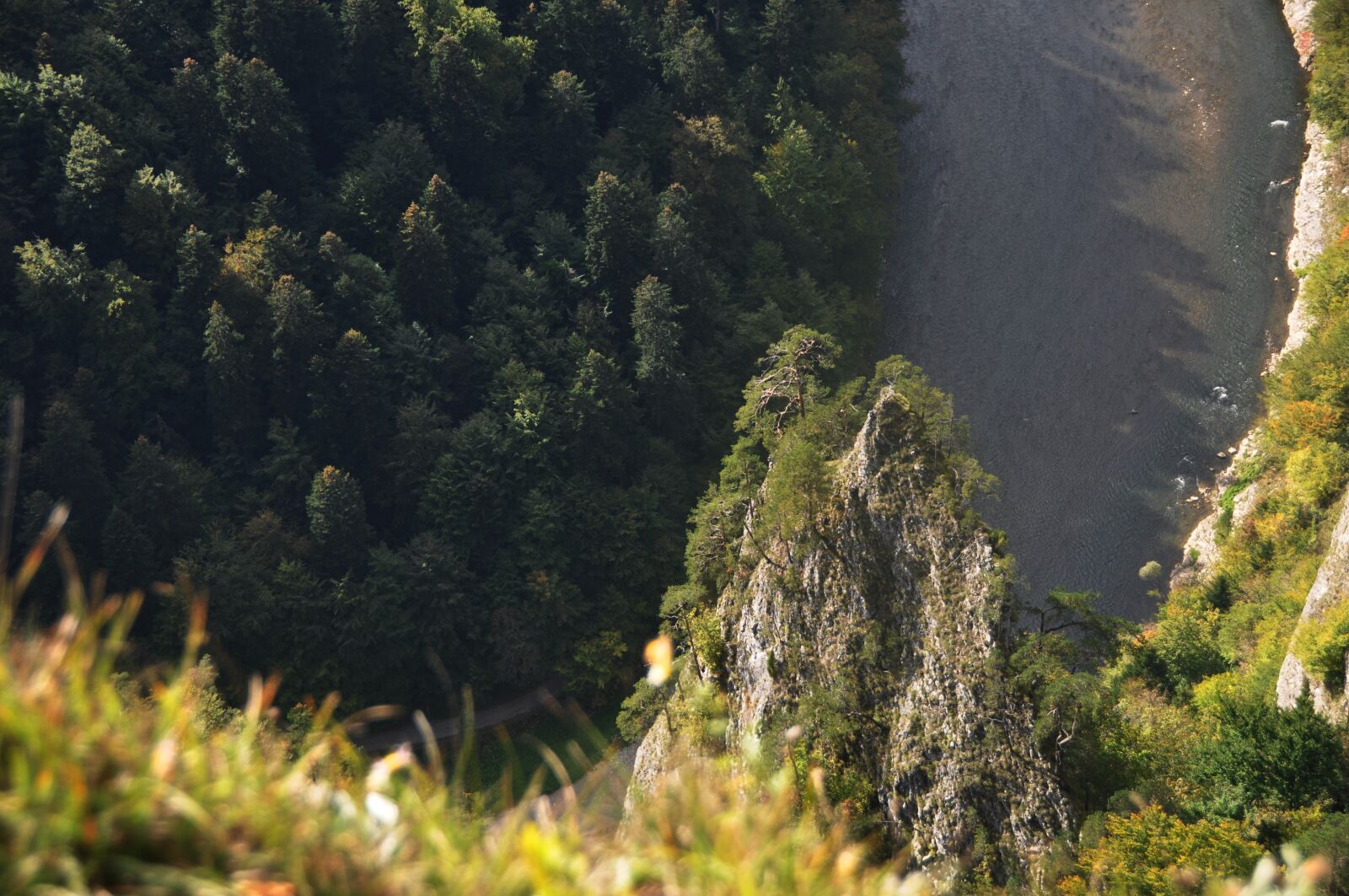 Nikon D90 sample photo. Pieniny, national, park photography