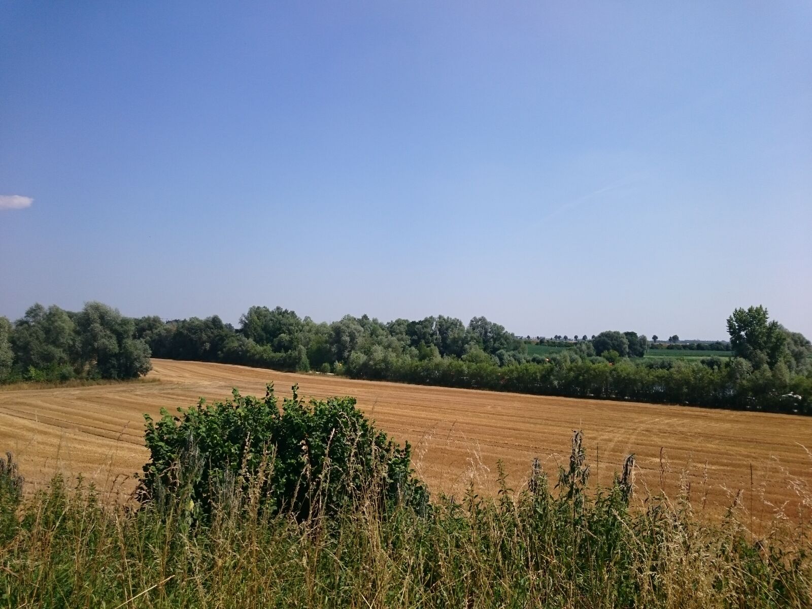 Sony Xperia Z3 sample photo. Farming, trees, farm photography