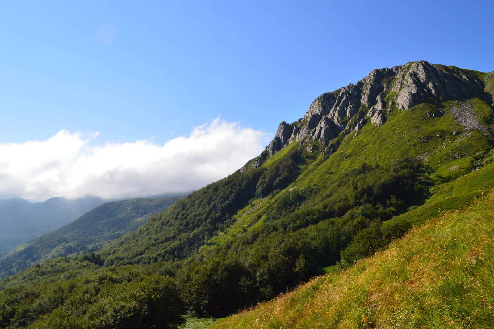 Nikon D3200 sample photo. Garfagnana, upstream, prado photography