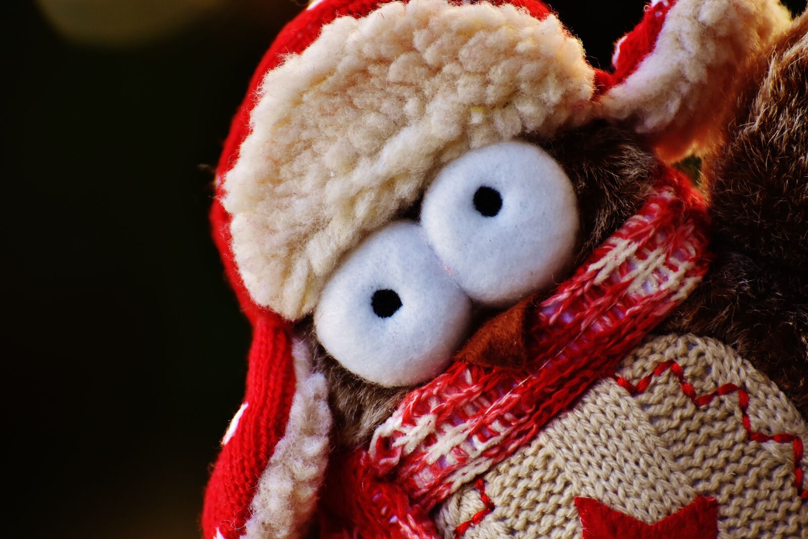 Nikon D7200 sample photo. Owl, plush, winter photography