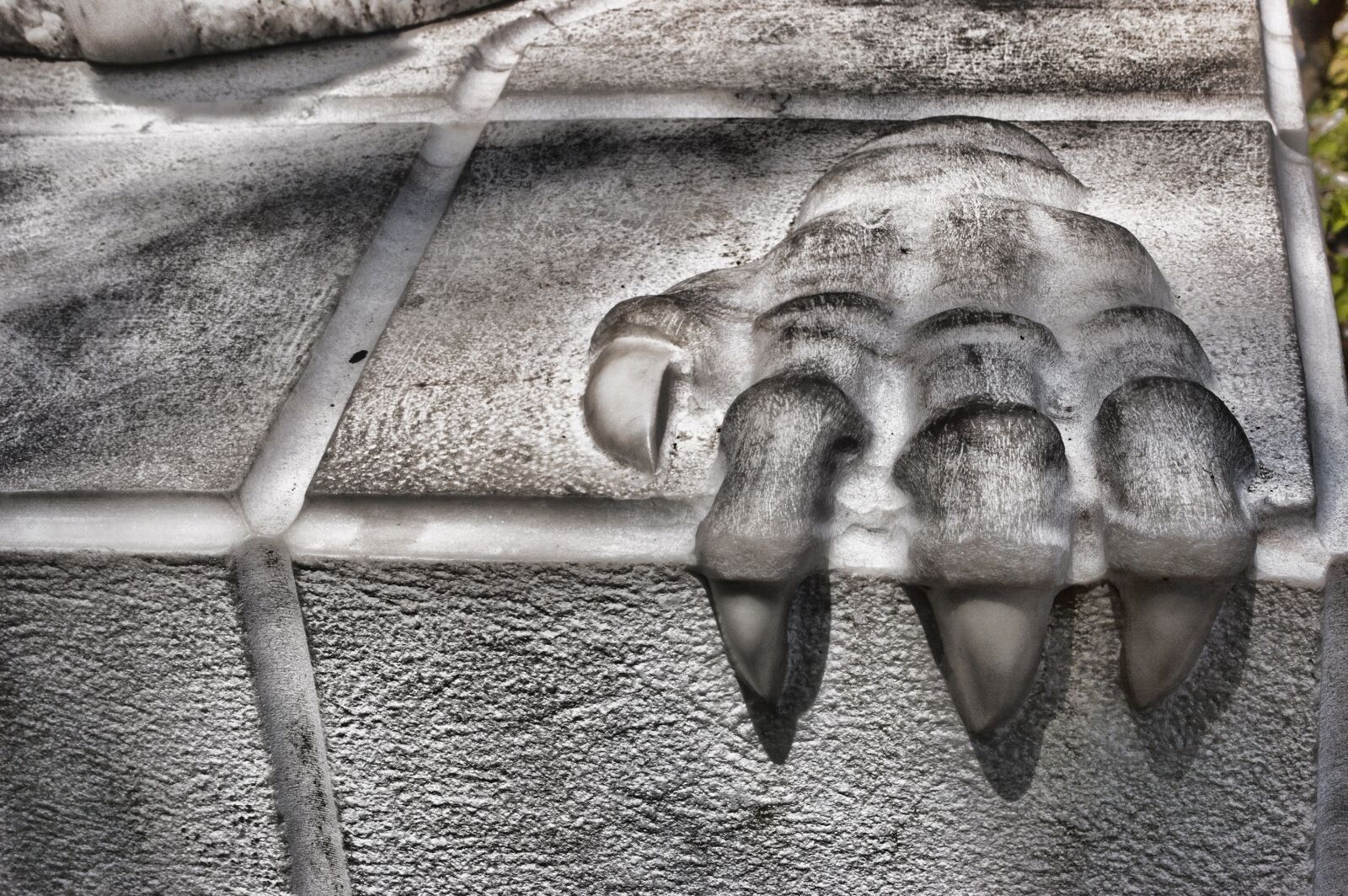 Nikon D50 sample photo. Paw, stone, relief photography