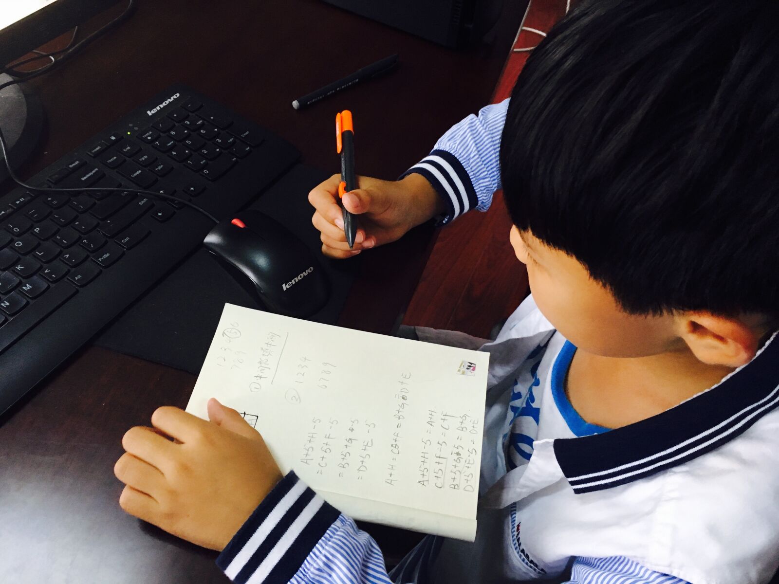 Apple iPhone 6s sample photo. The work, character, kids photography