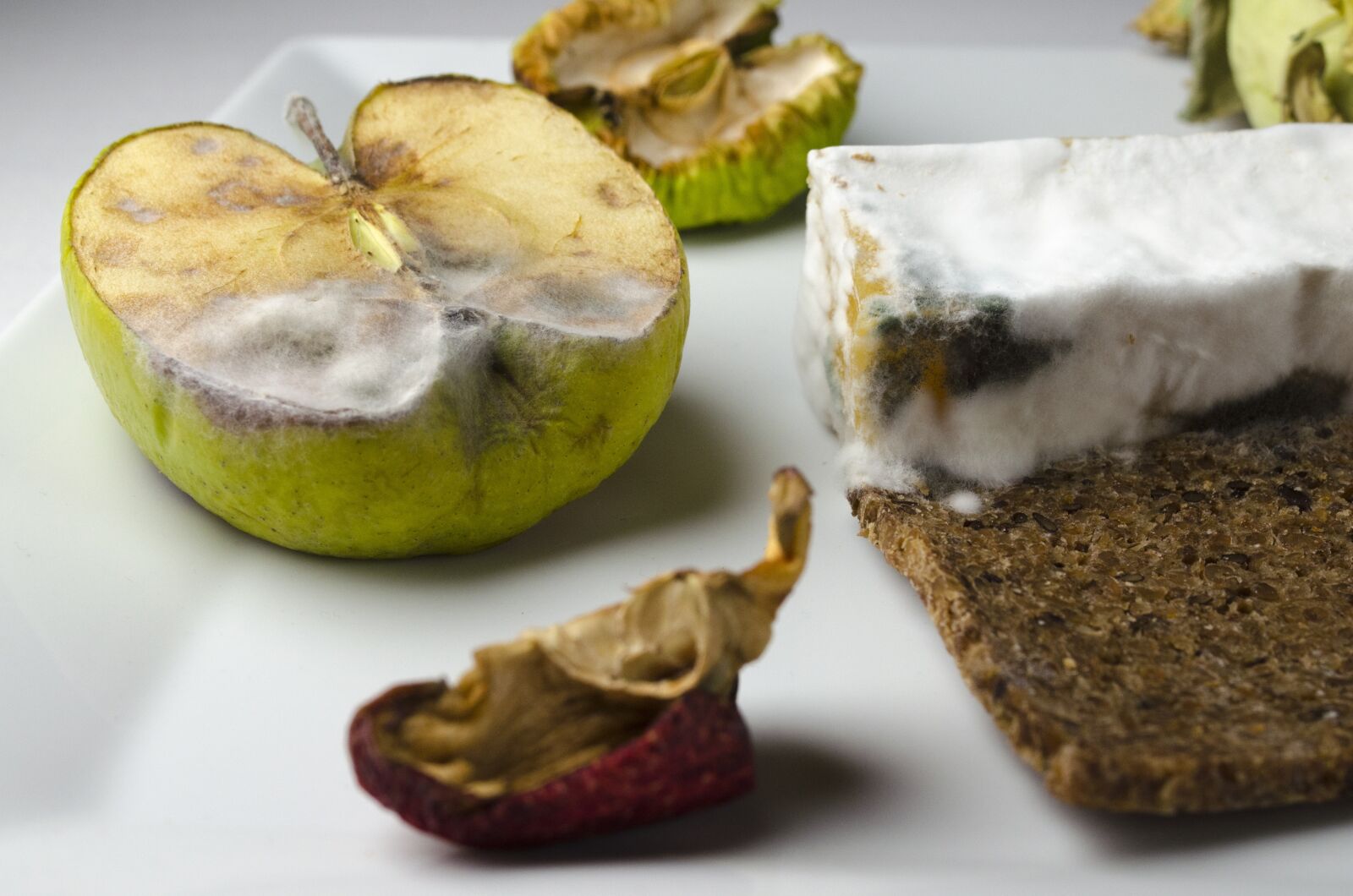 Nikon D5100 sample photo. Food, mold, blue cheese photography