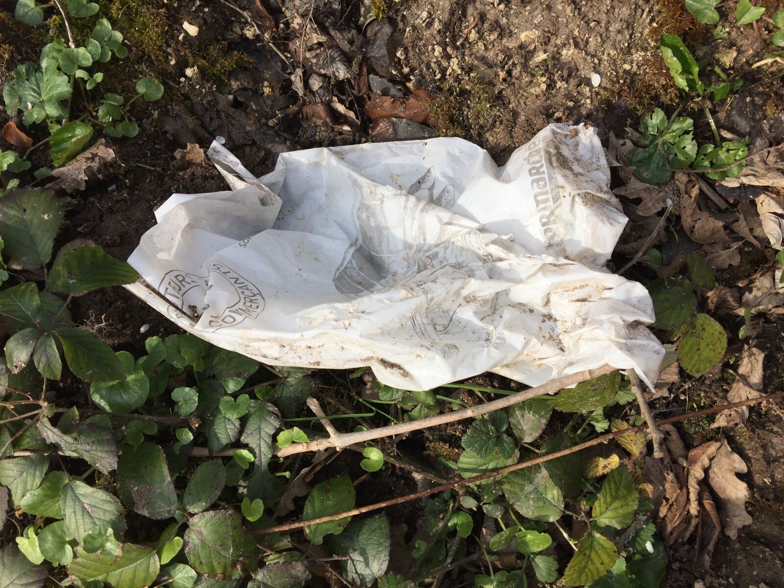 iPhone 6 Plus back camera 4.15mm f/2.2 sample photo. Waste, plastic, nature photography