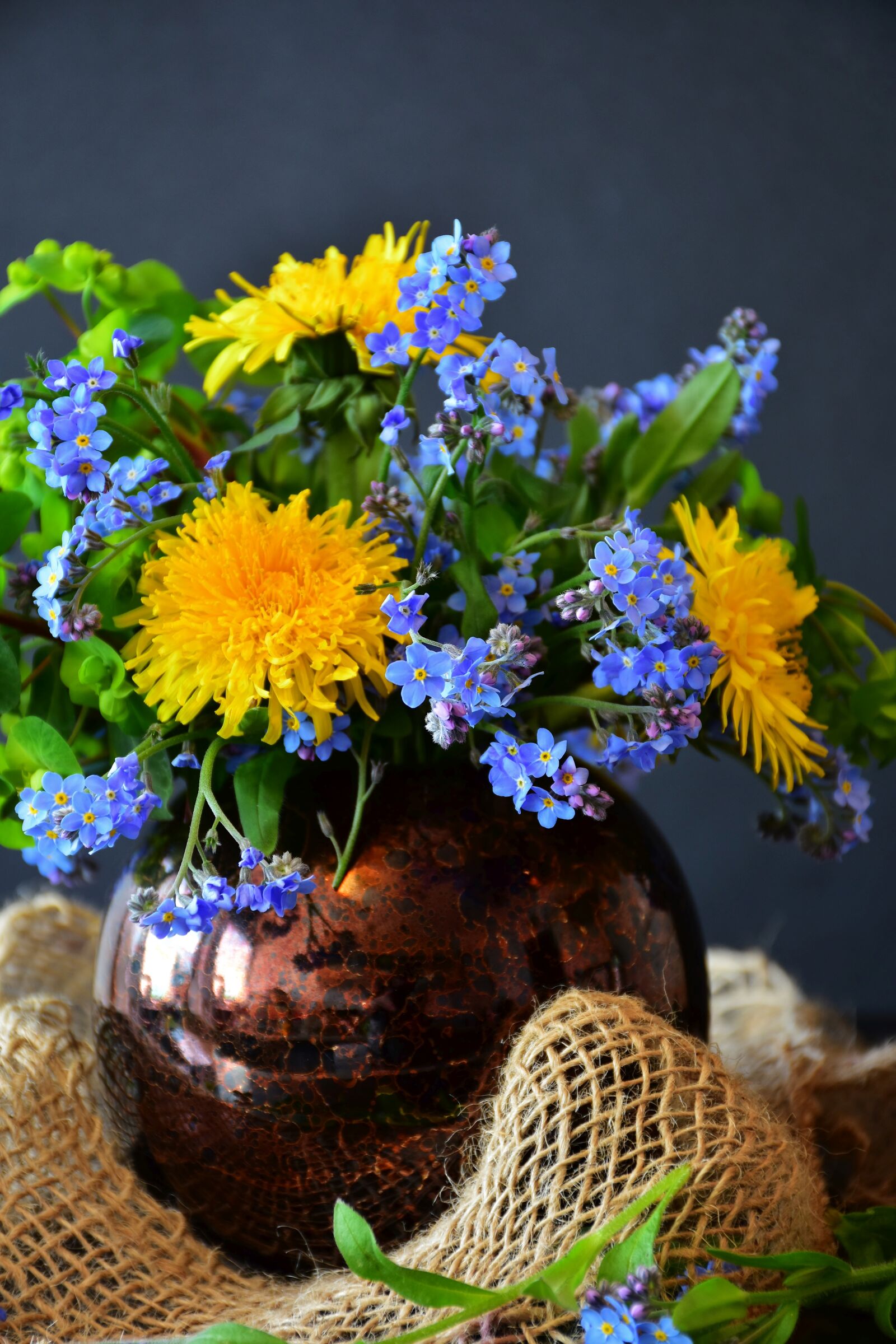 Nikon D7200 sample photo. Forget me not, dandelion photography