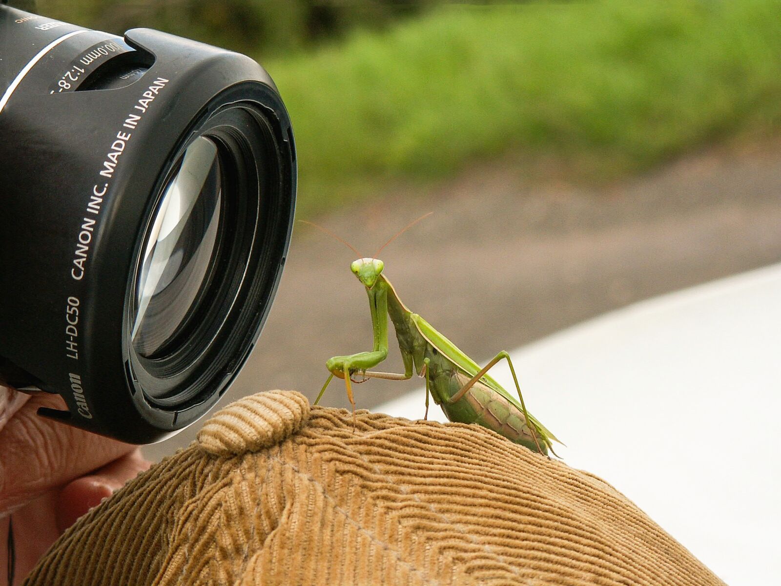KONICA MINOLTA DiMAGE Z3 sample photo. Nature, animals, living nature photography
