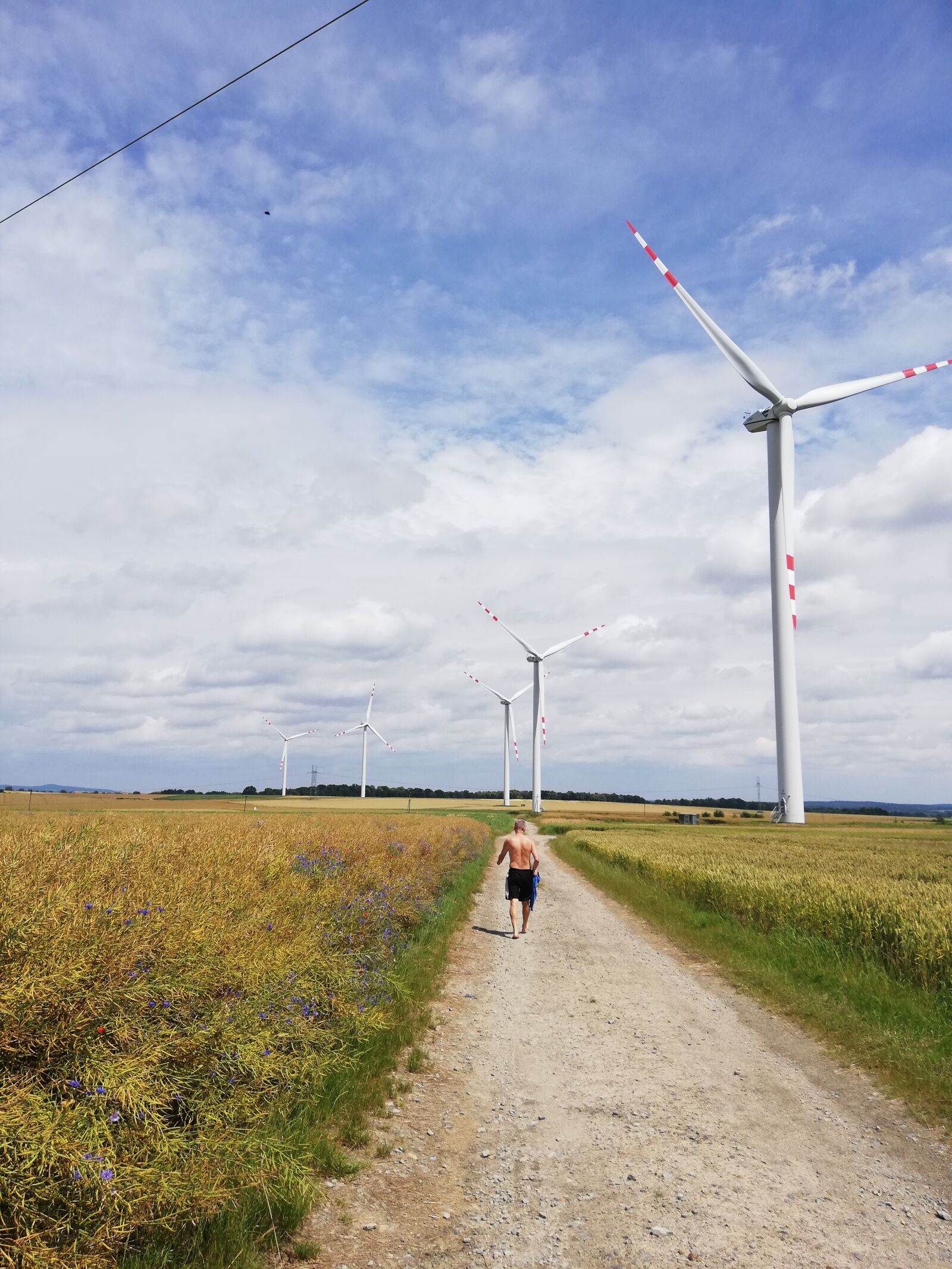 HUAWEI P20 lite sample photo. The windmills, landscape nature photography