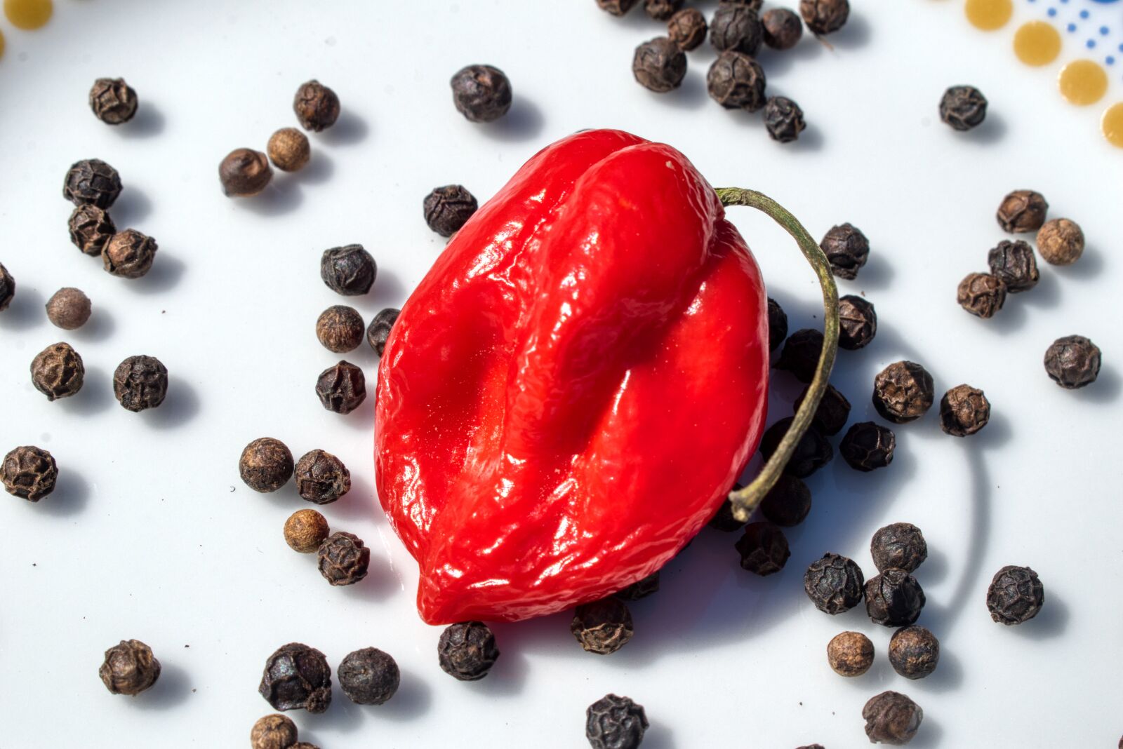 Nikon D3300 sample photo. Red pepper, small, red photography